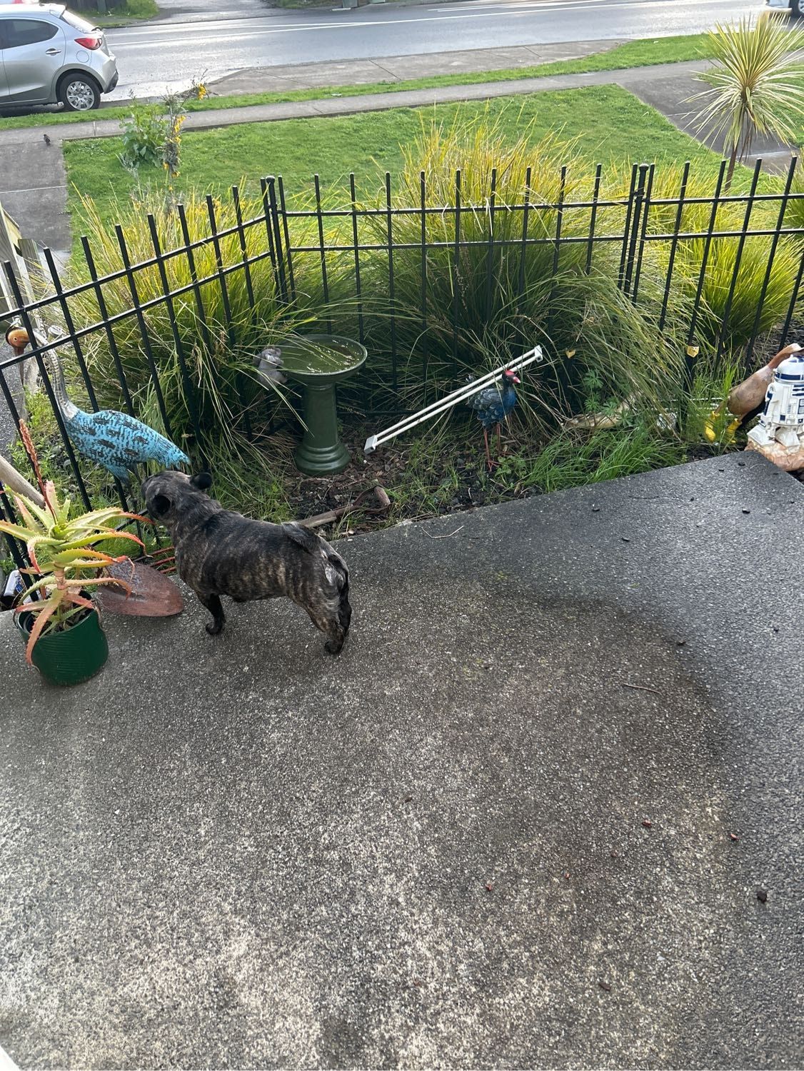 image-6