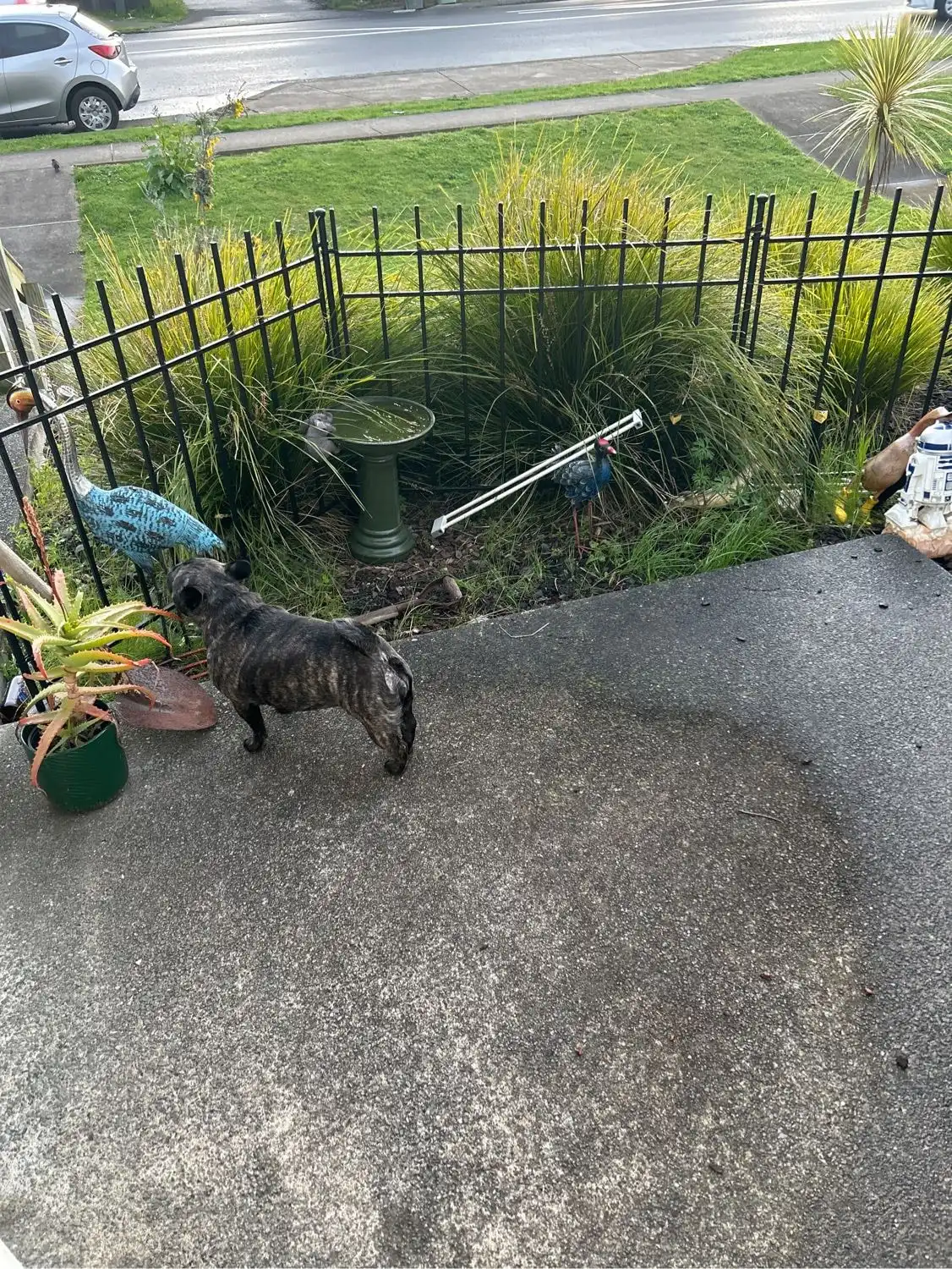 image-6