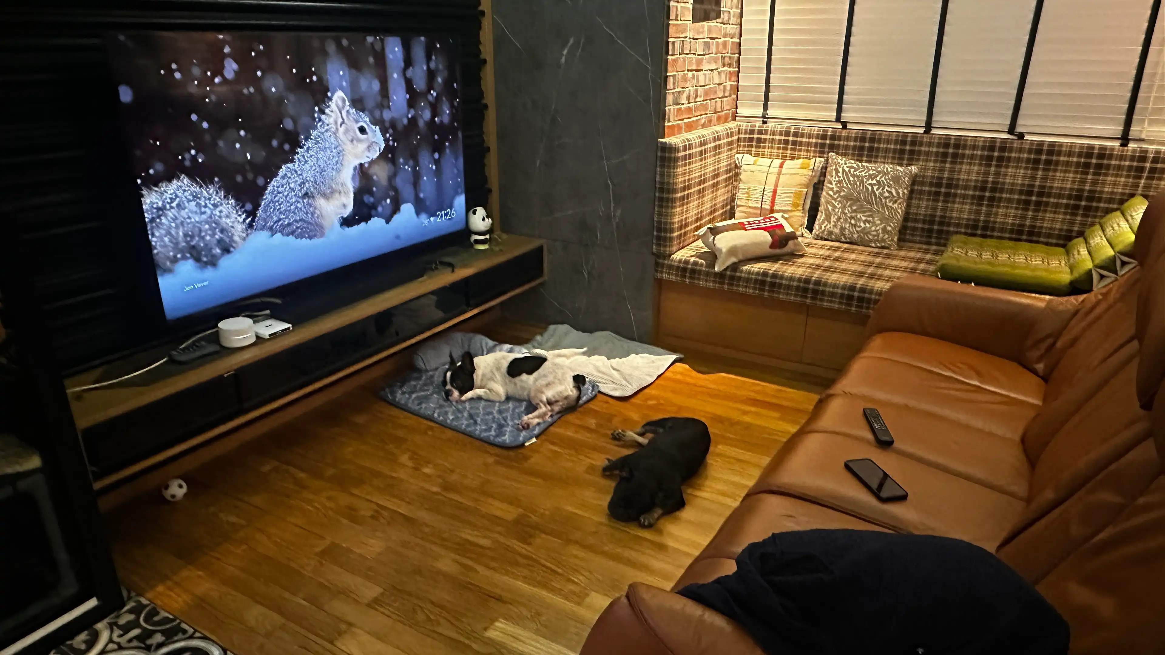 image-5