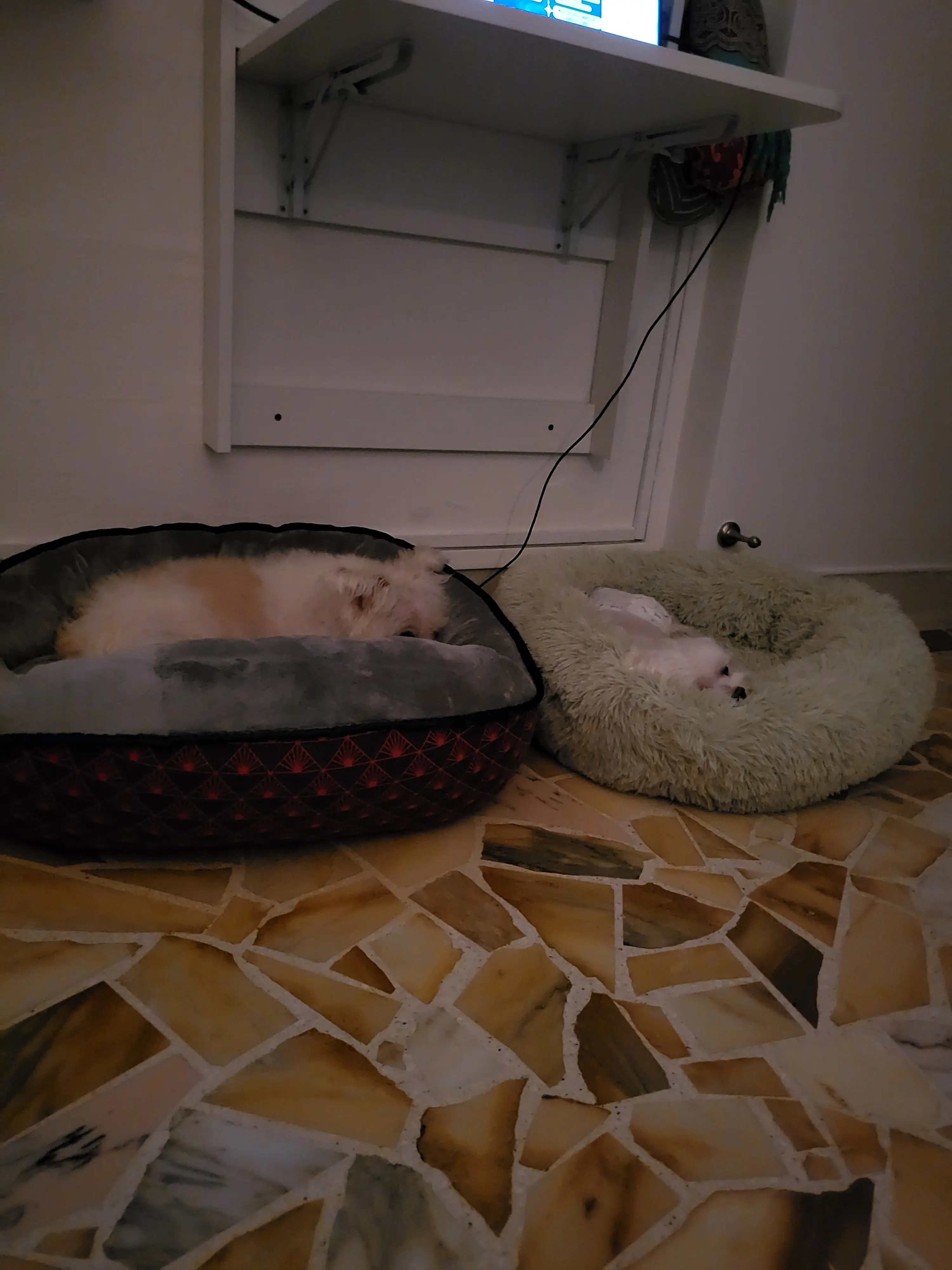 image-4