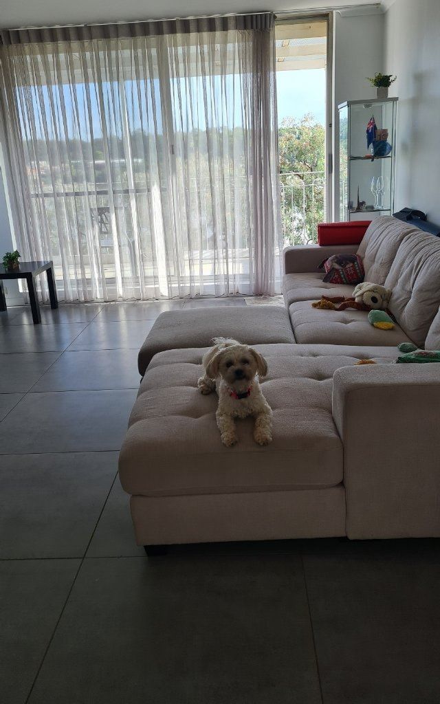 image-8