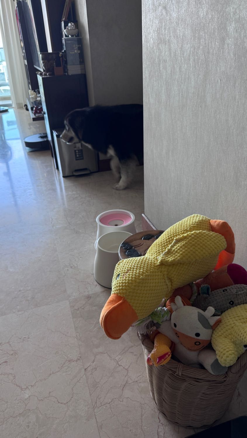 image-14