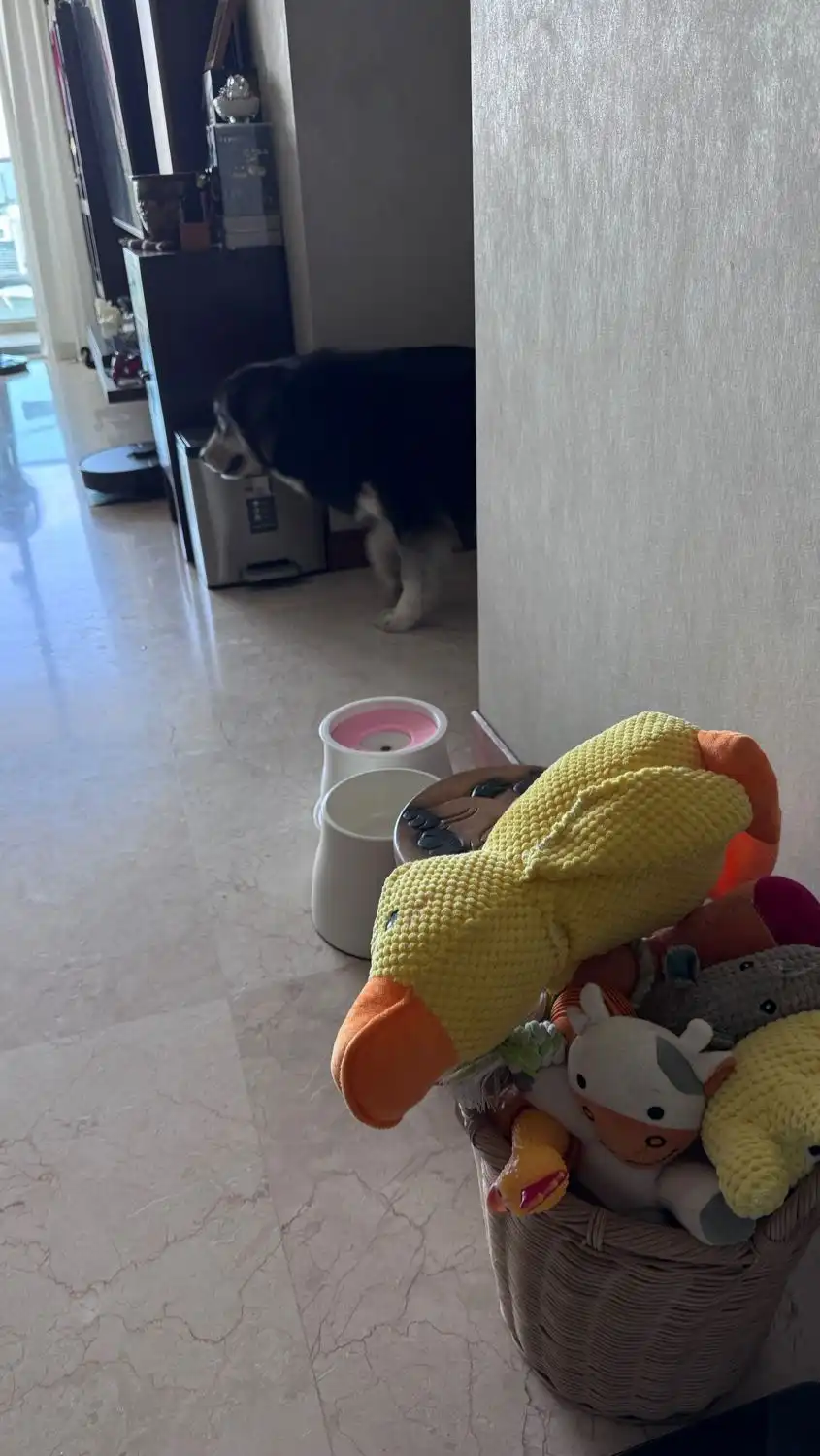 image-14