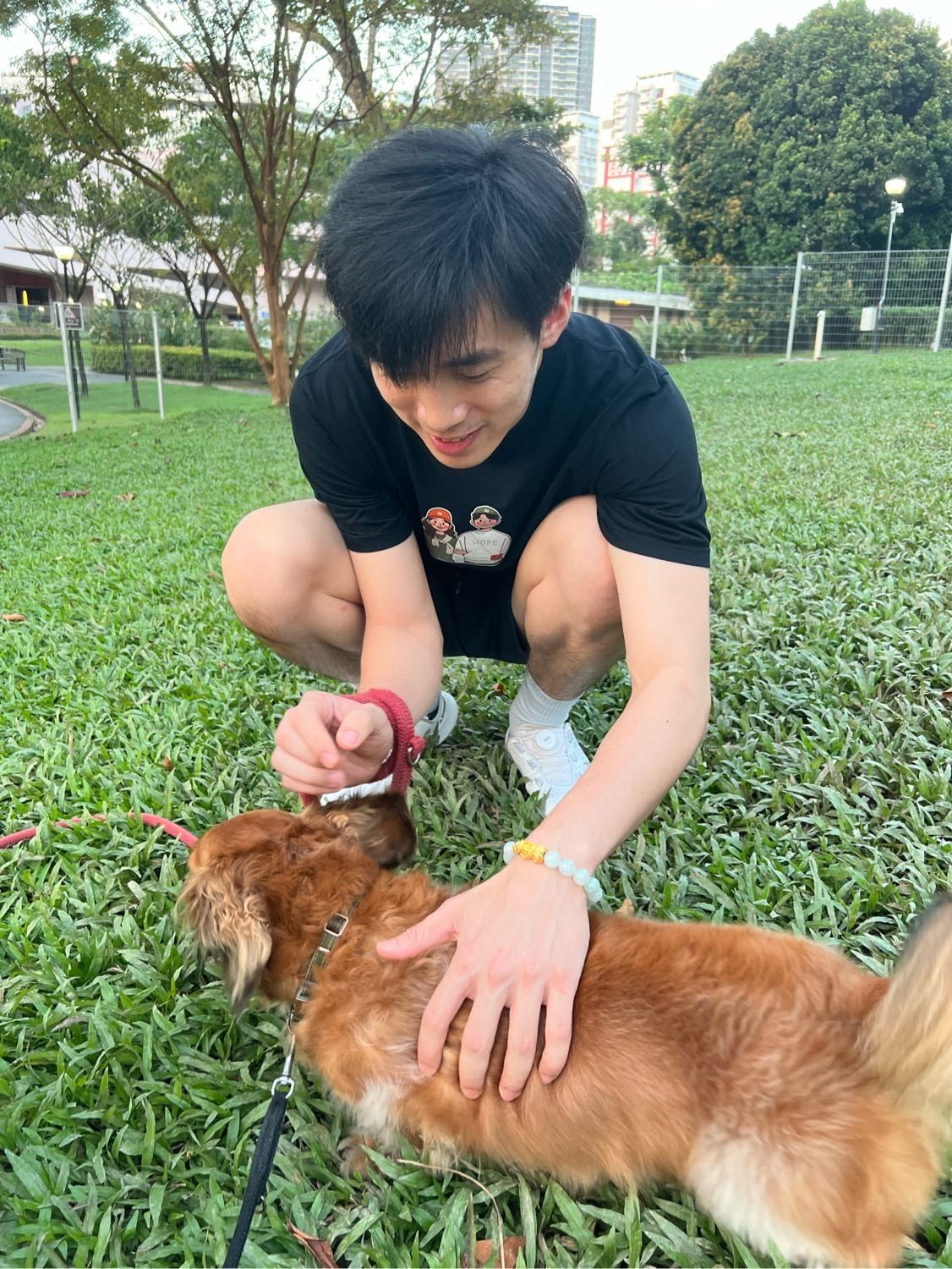 image-6