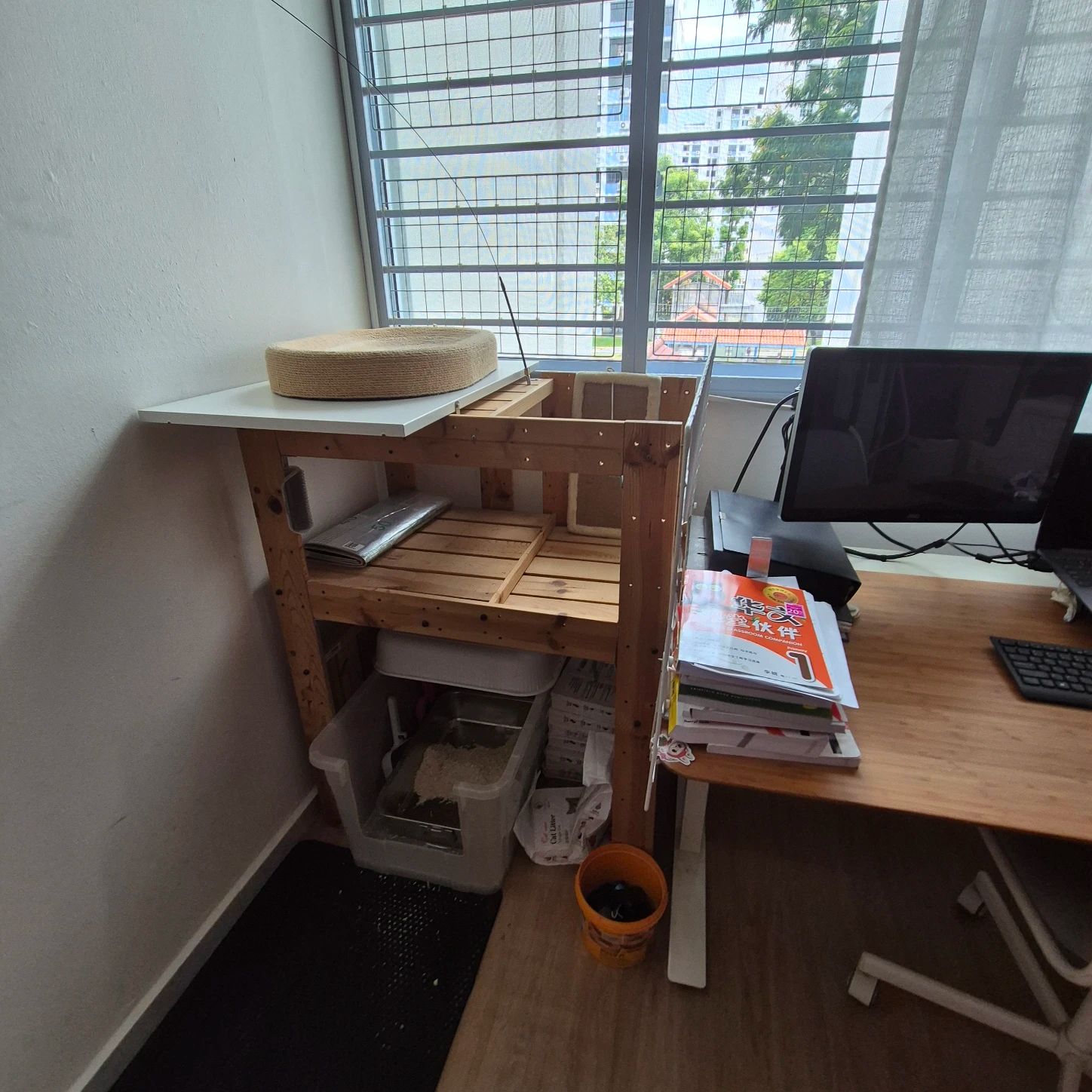 image-11