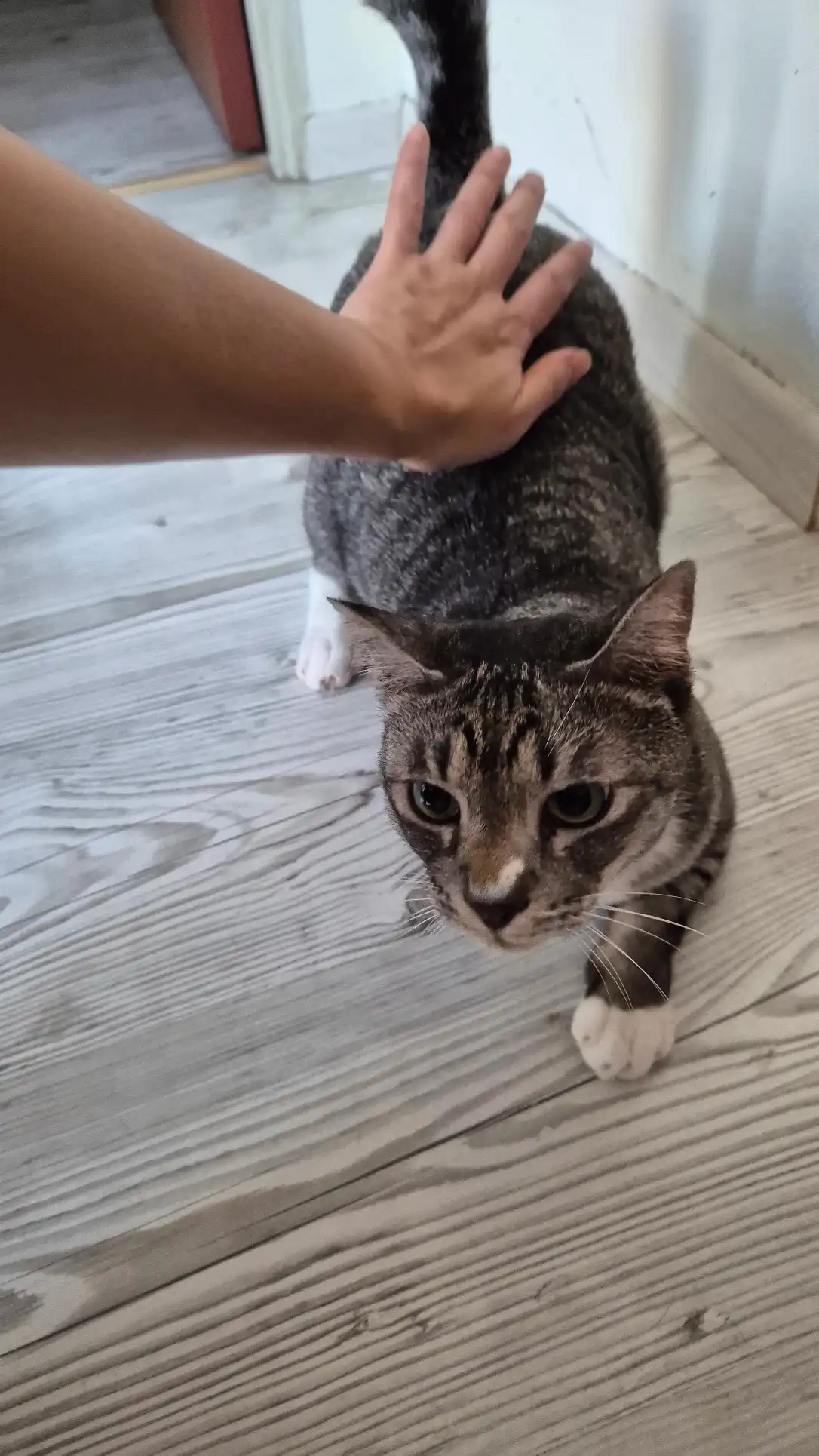 image-11
