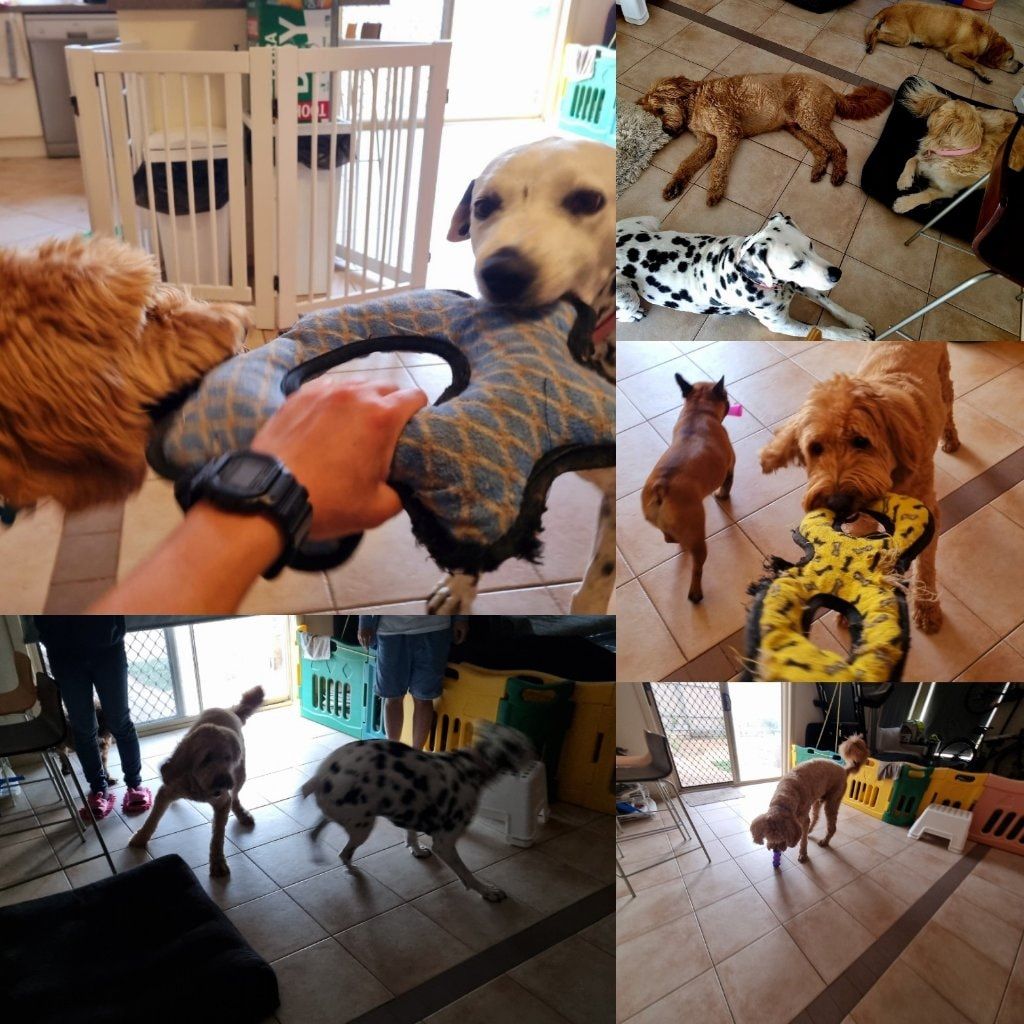 image-44