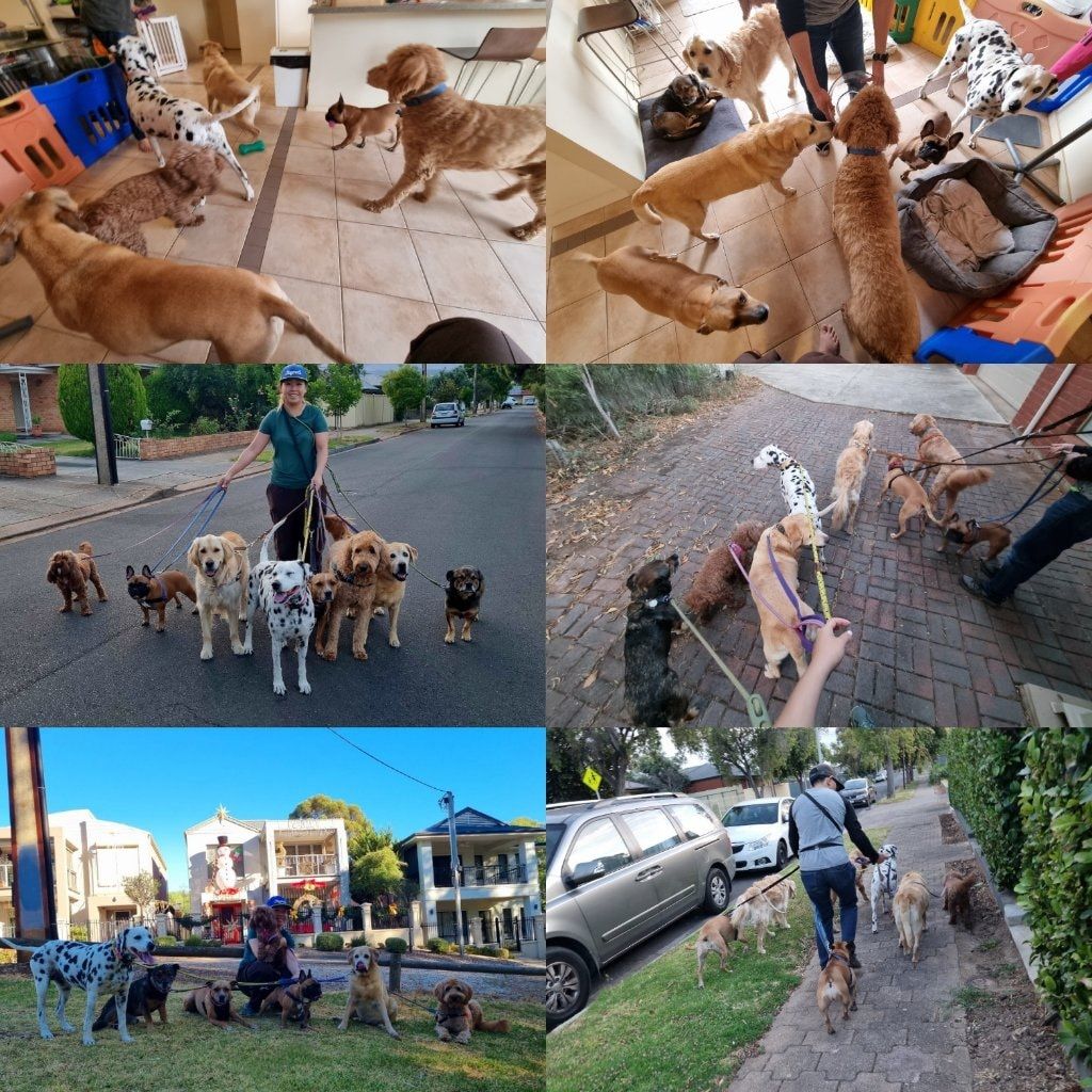 image-42