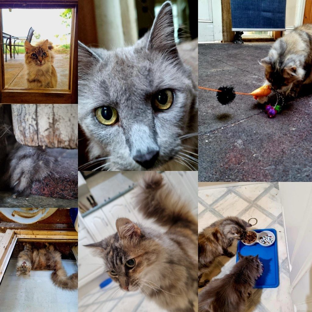 image-46