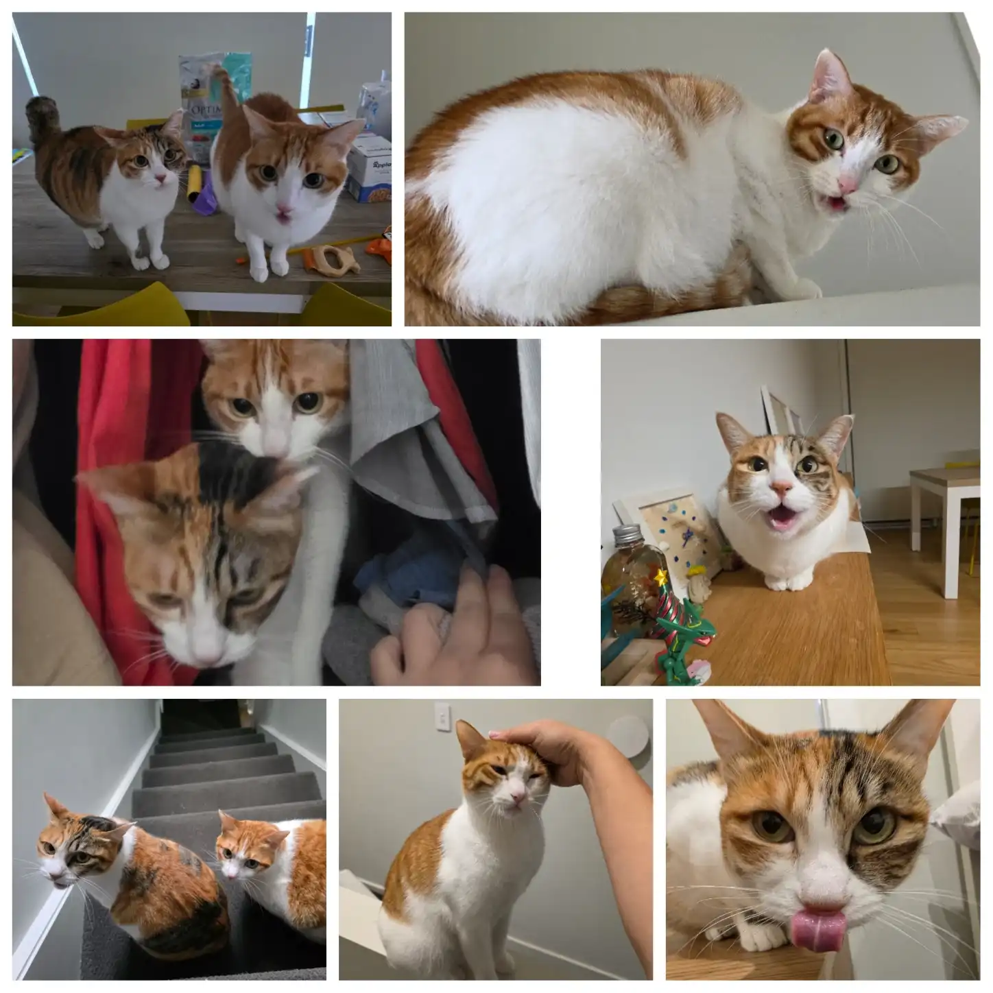 image-47