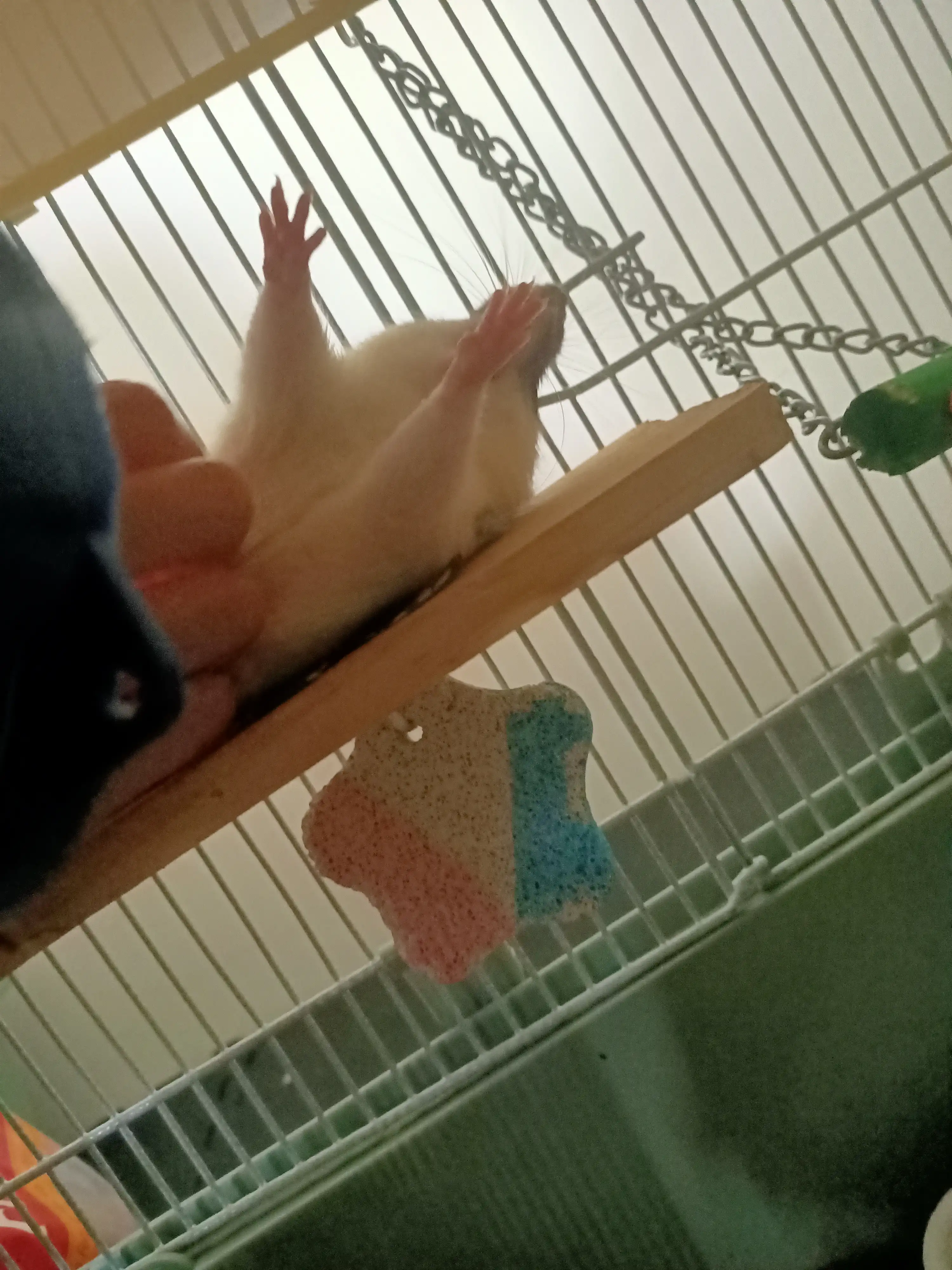 image-8