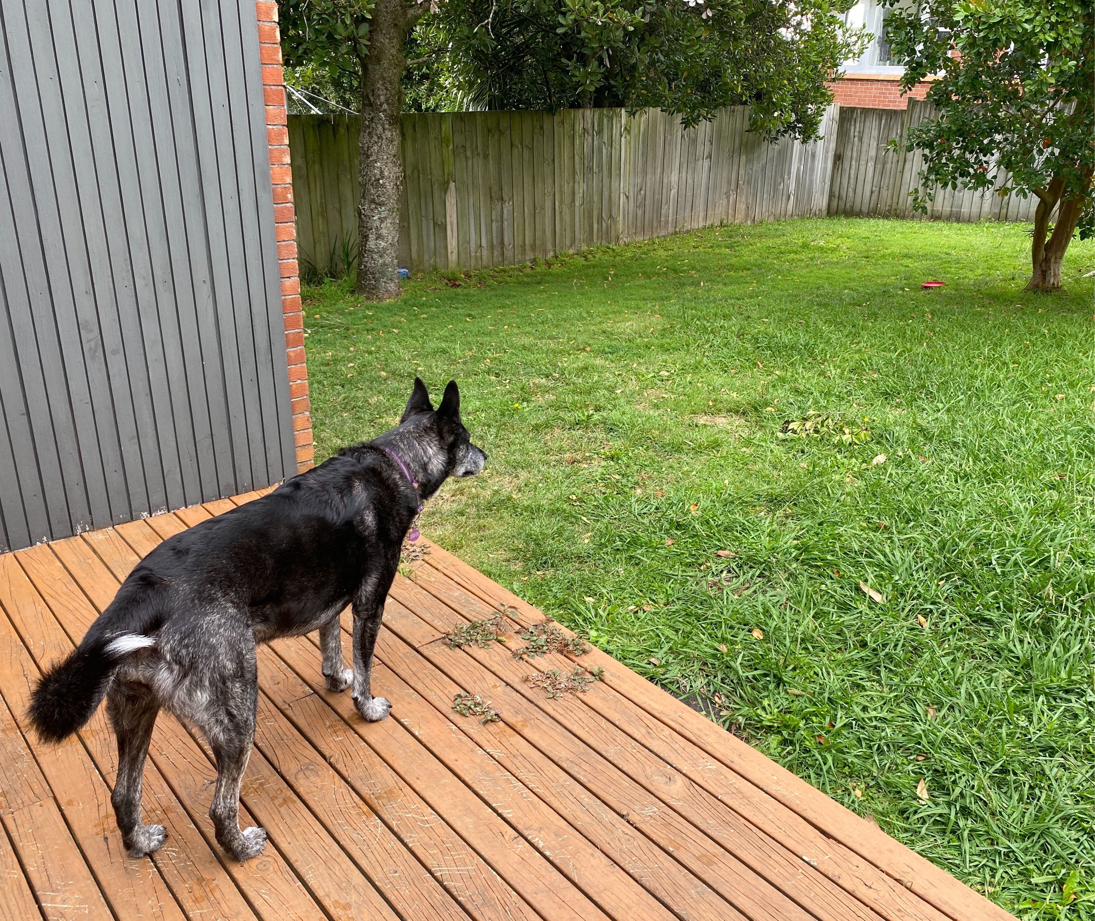 image-13