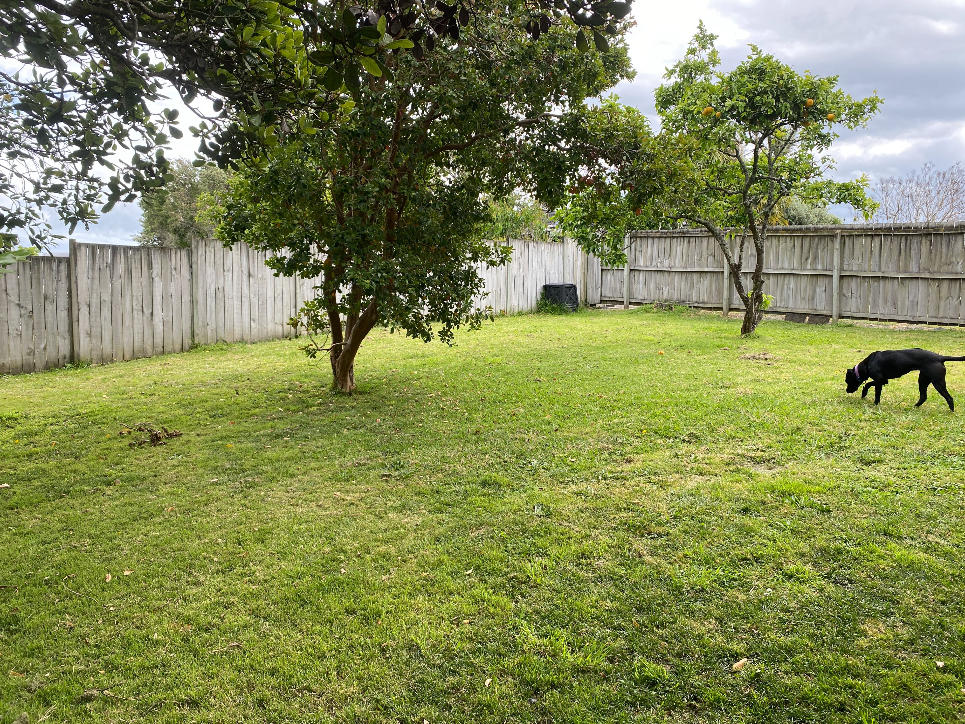 image-11