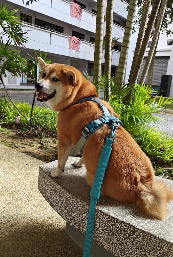 image-18