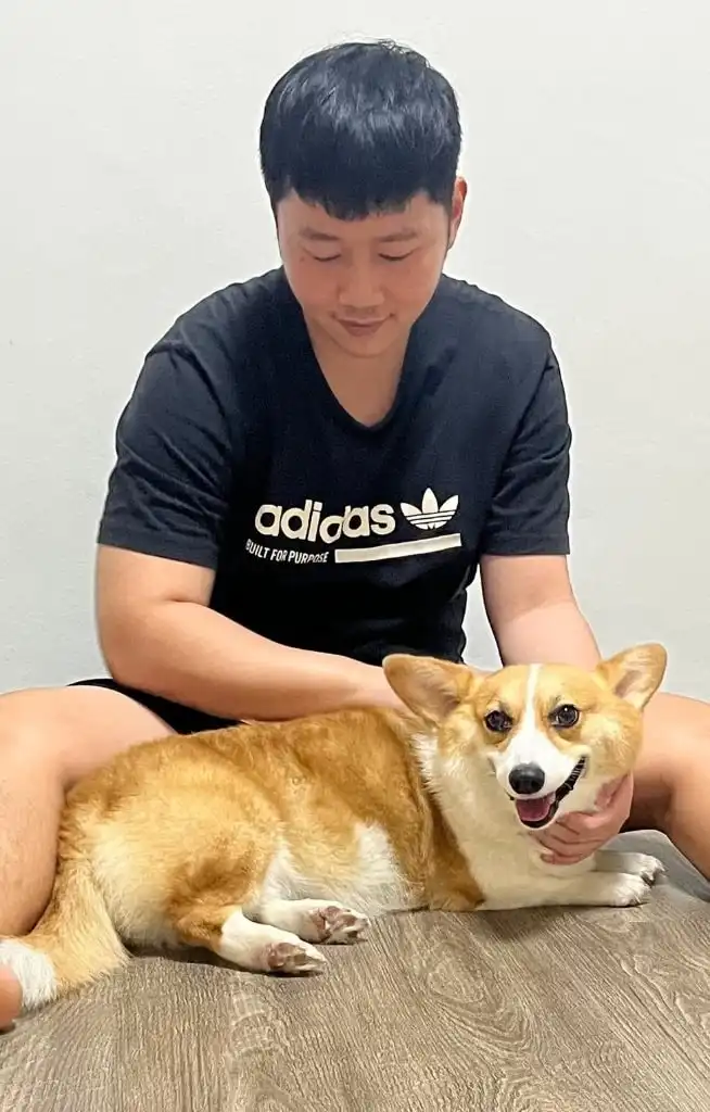 image-12