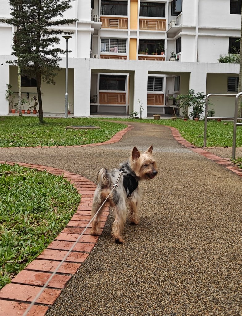 image-19