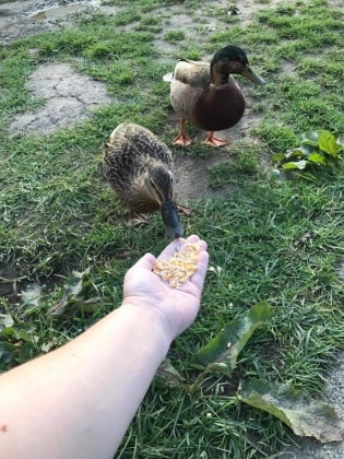 image-7