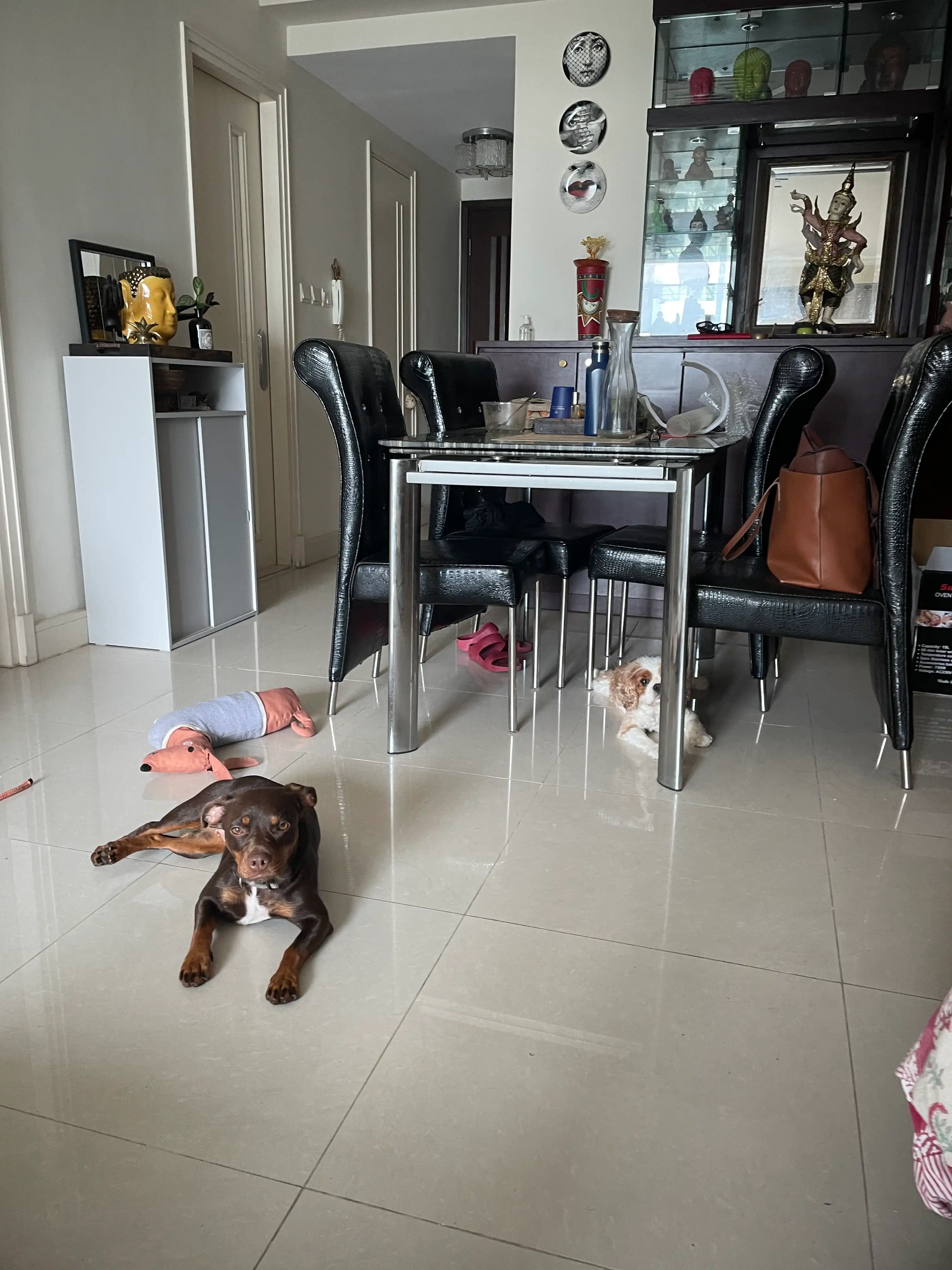 image-16