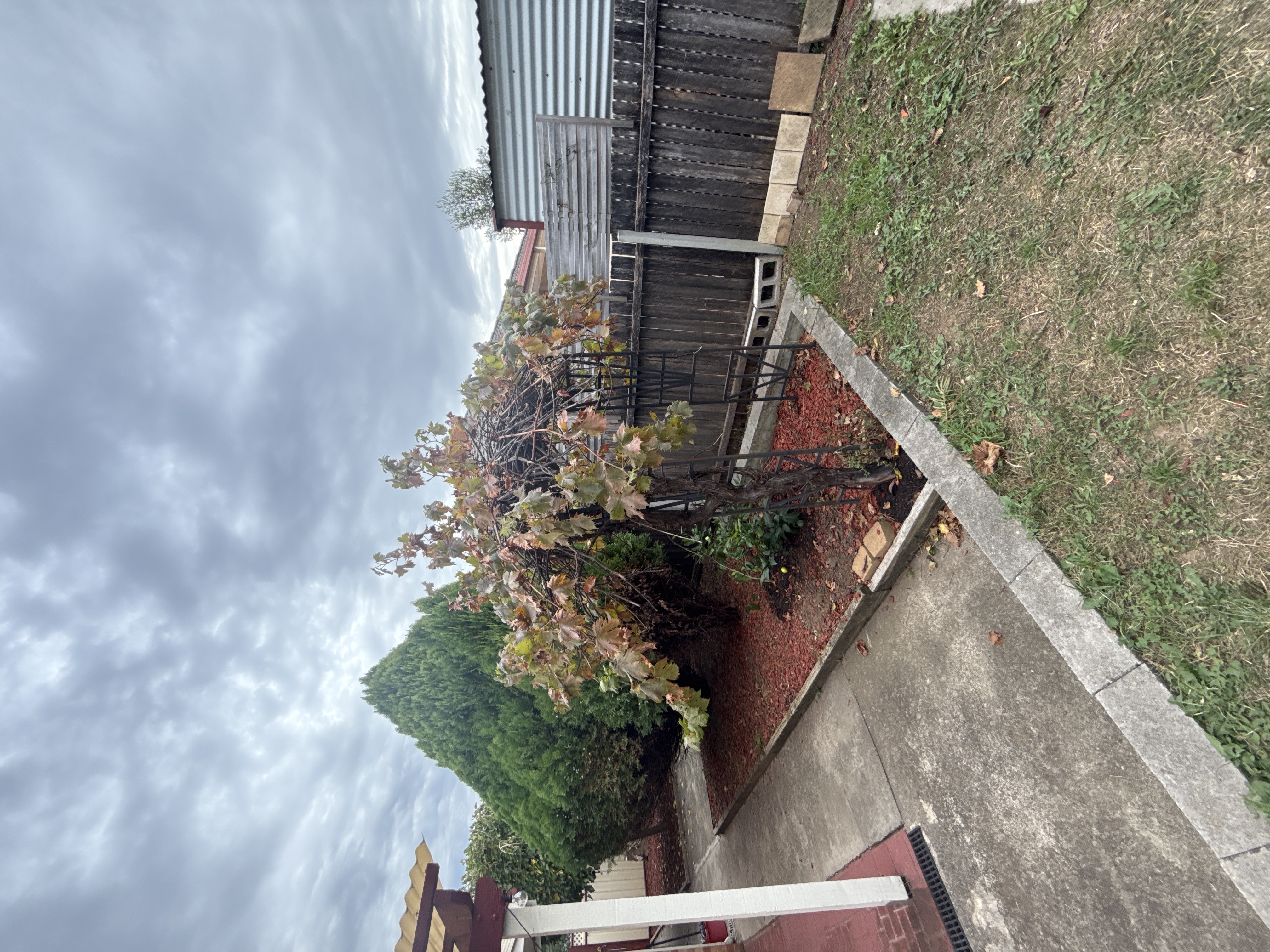 image-16