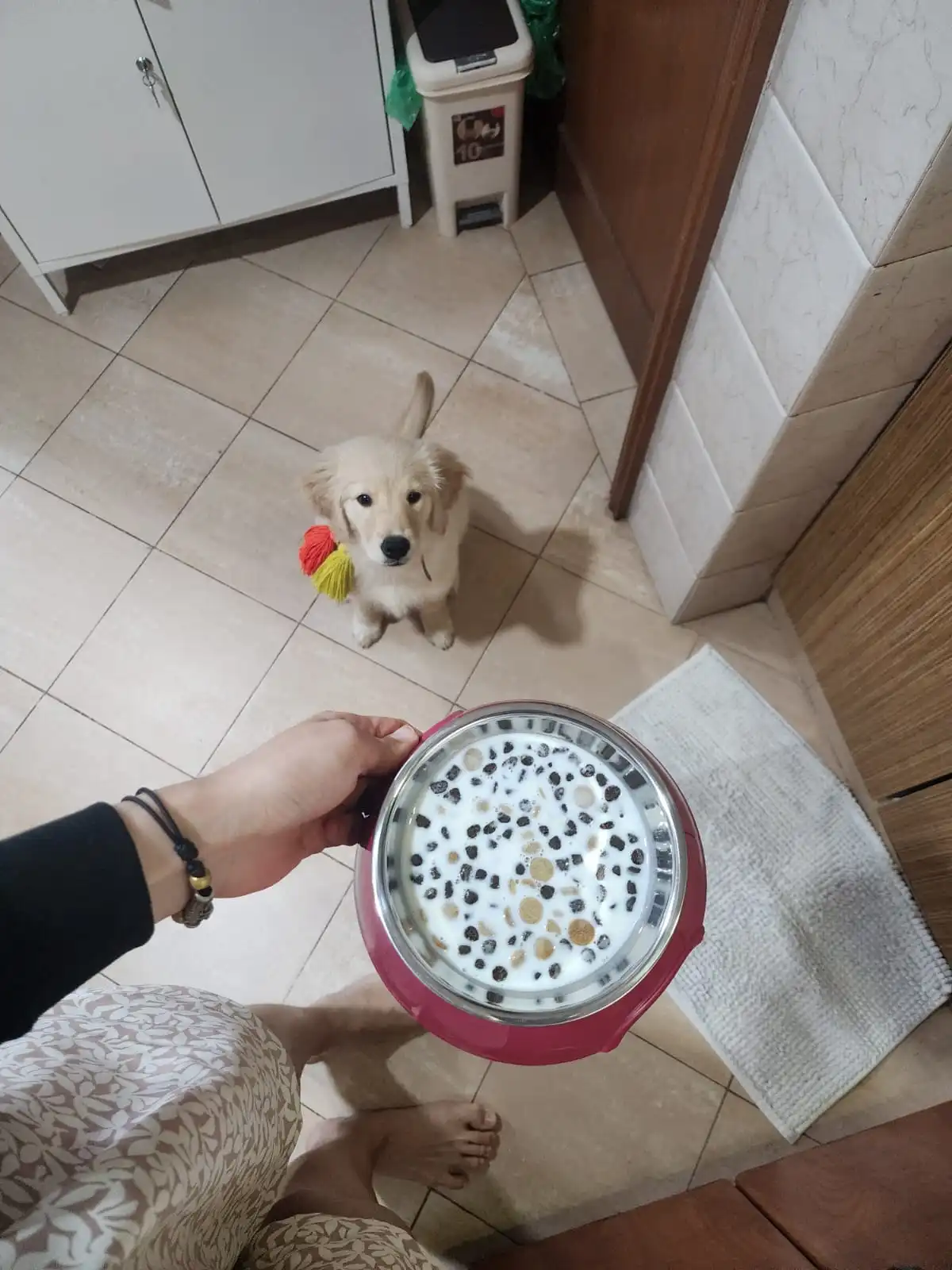 image-8