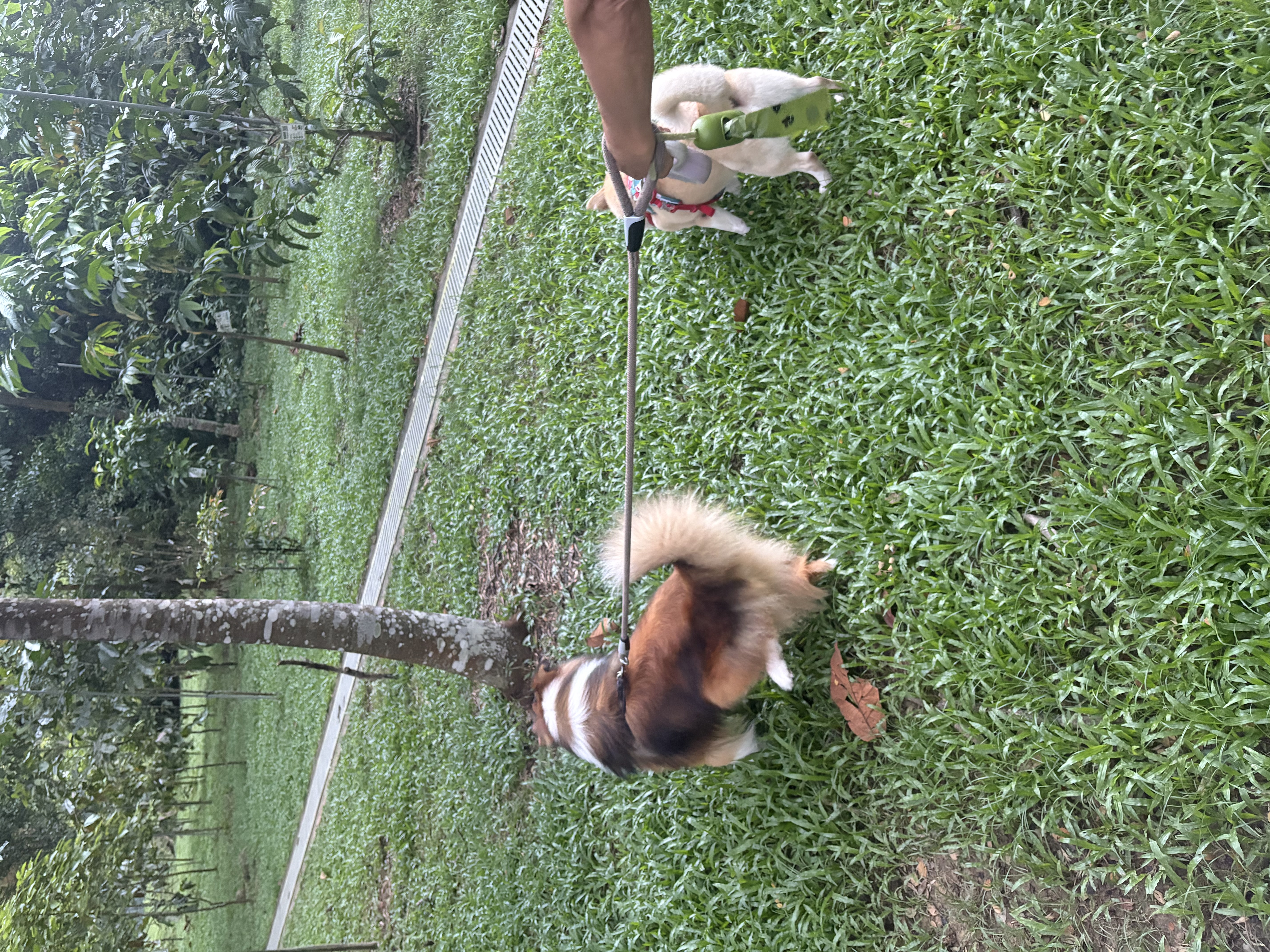 image-6