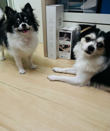 image-4