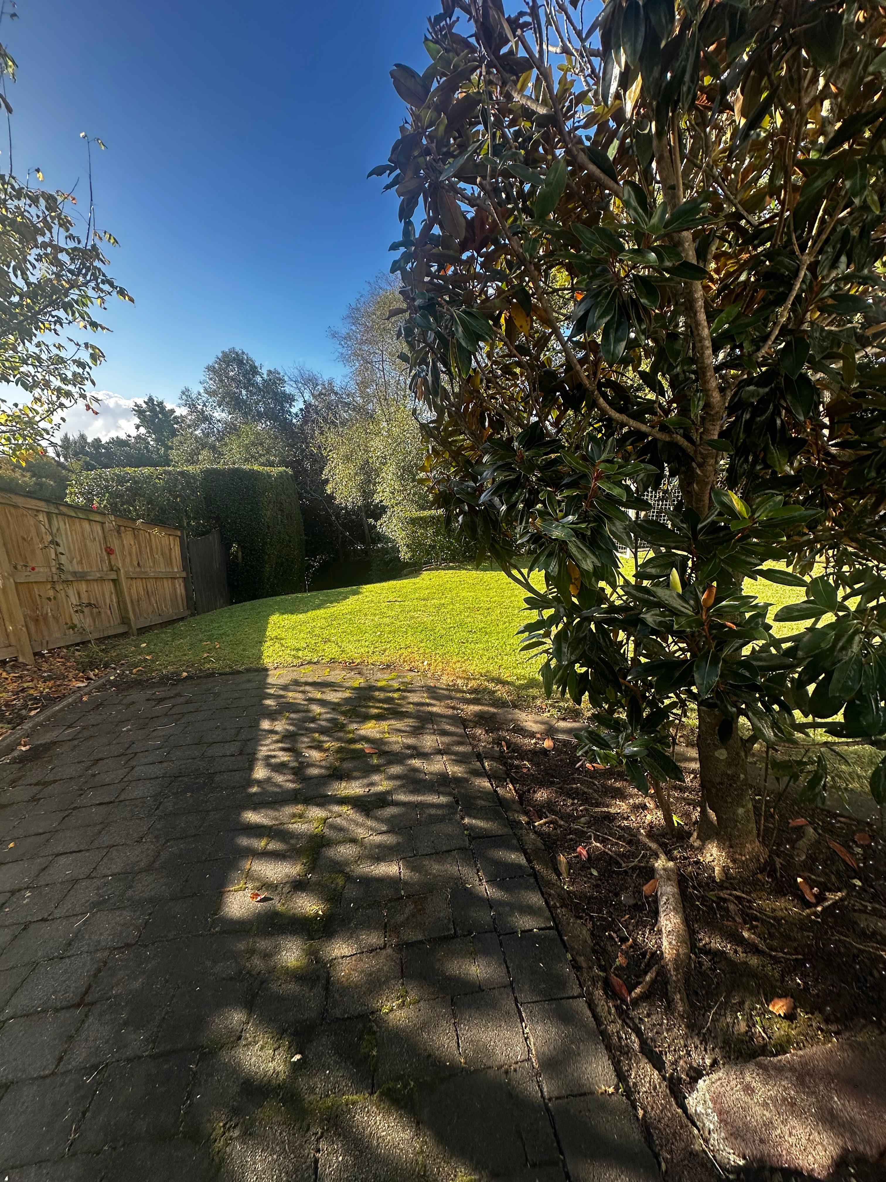 image-13