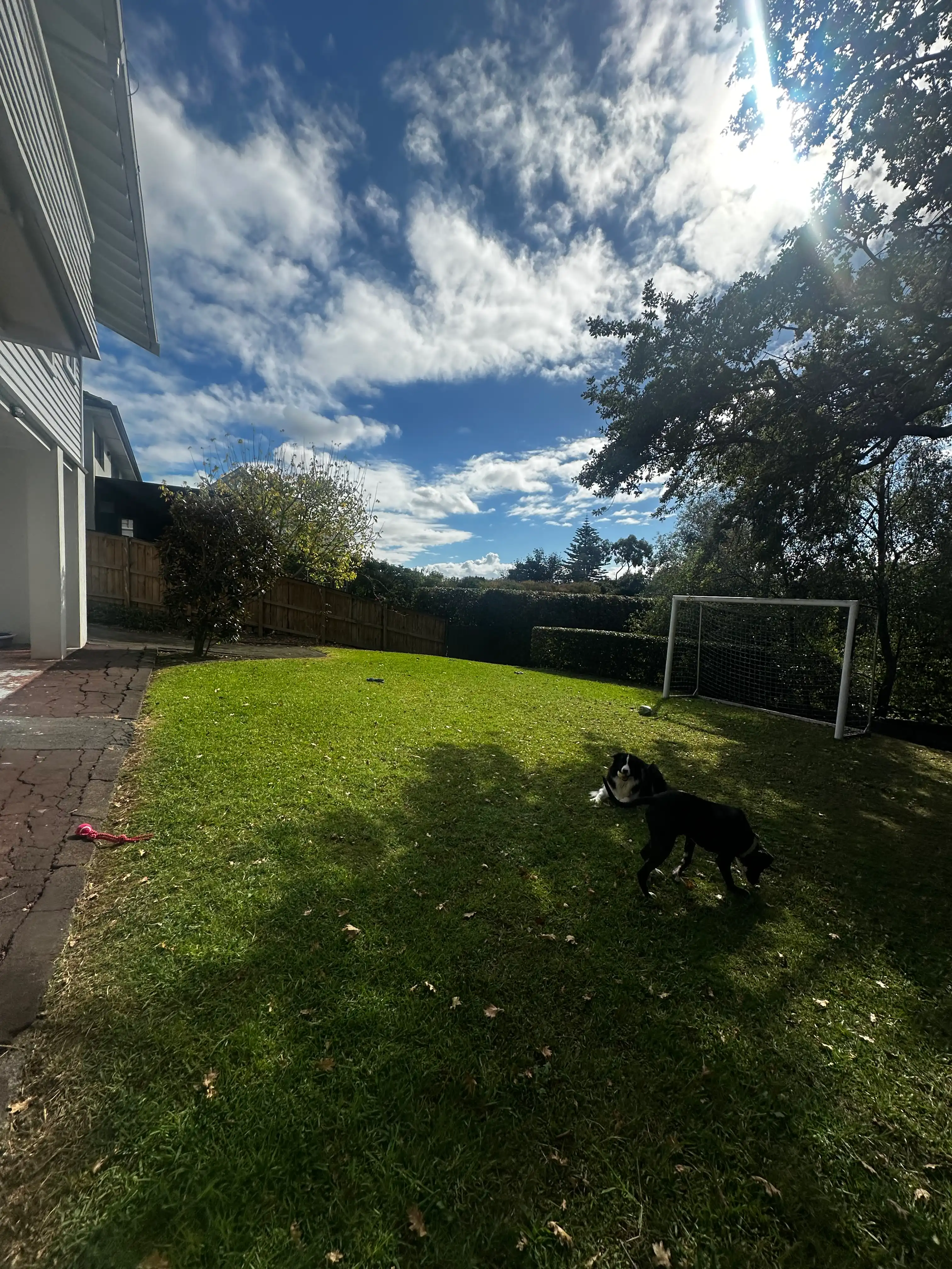 image-14