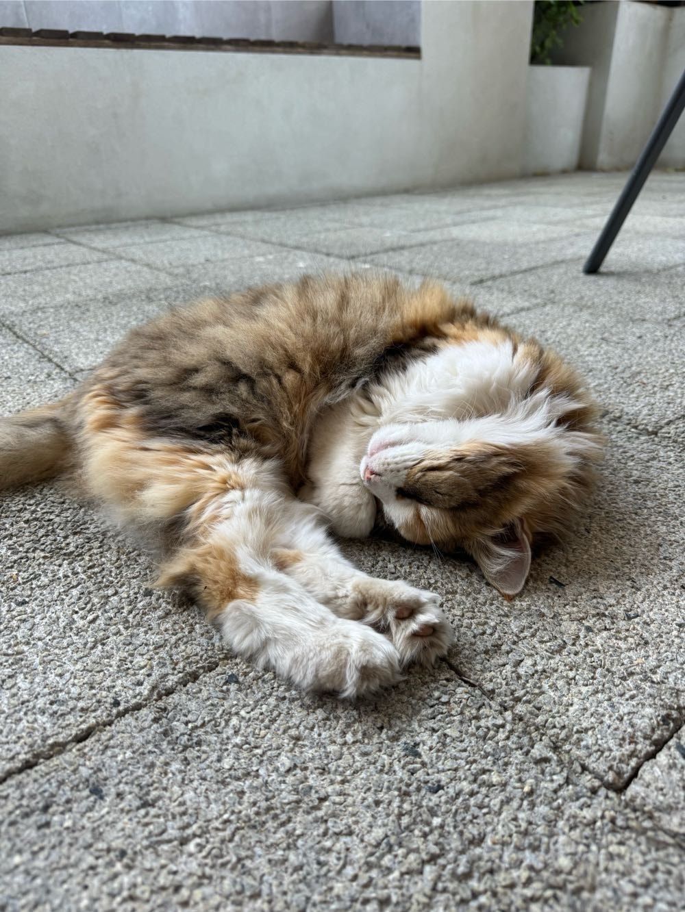 image-28