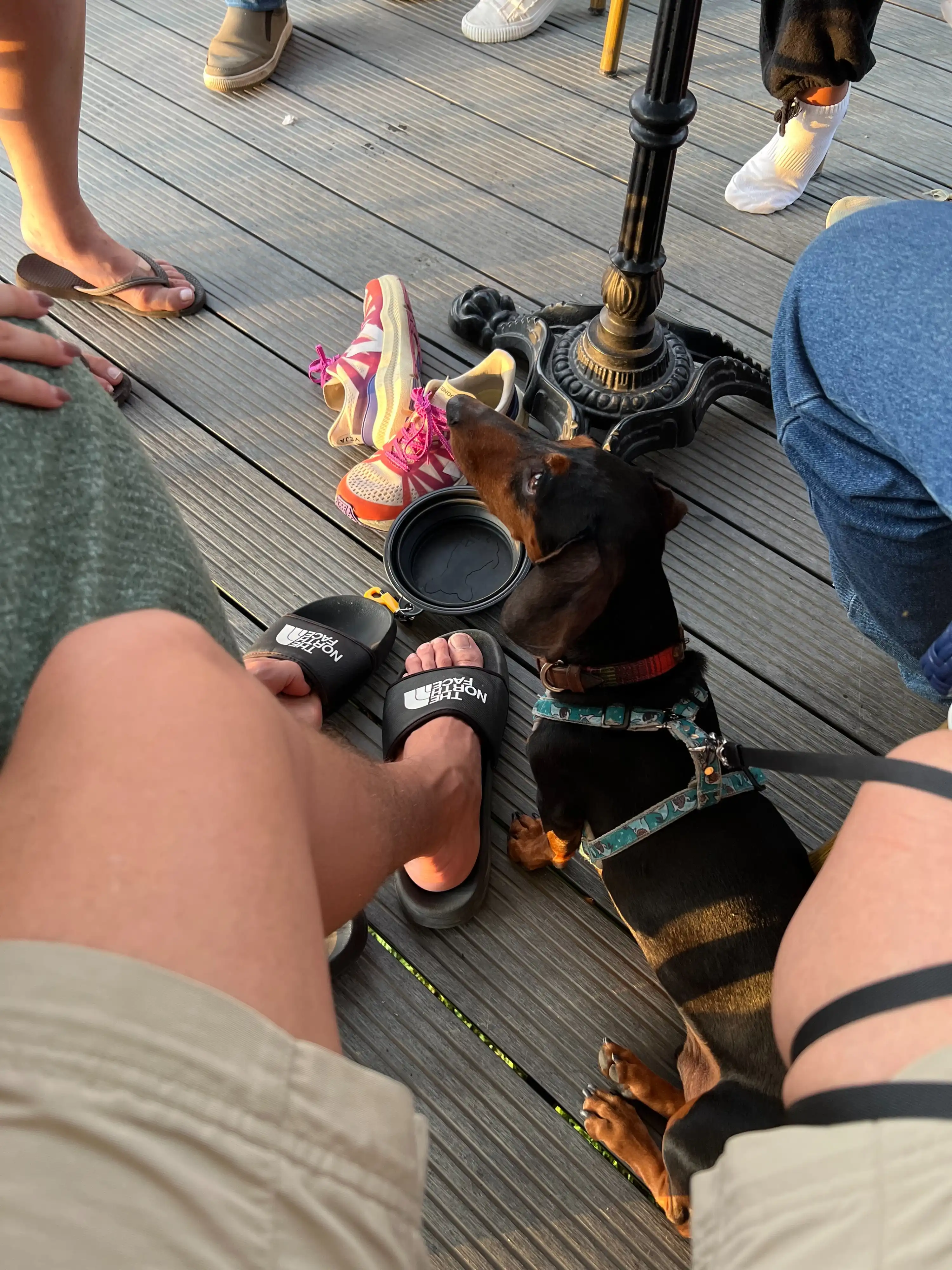 image-8