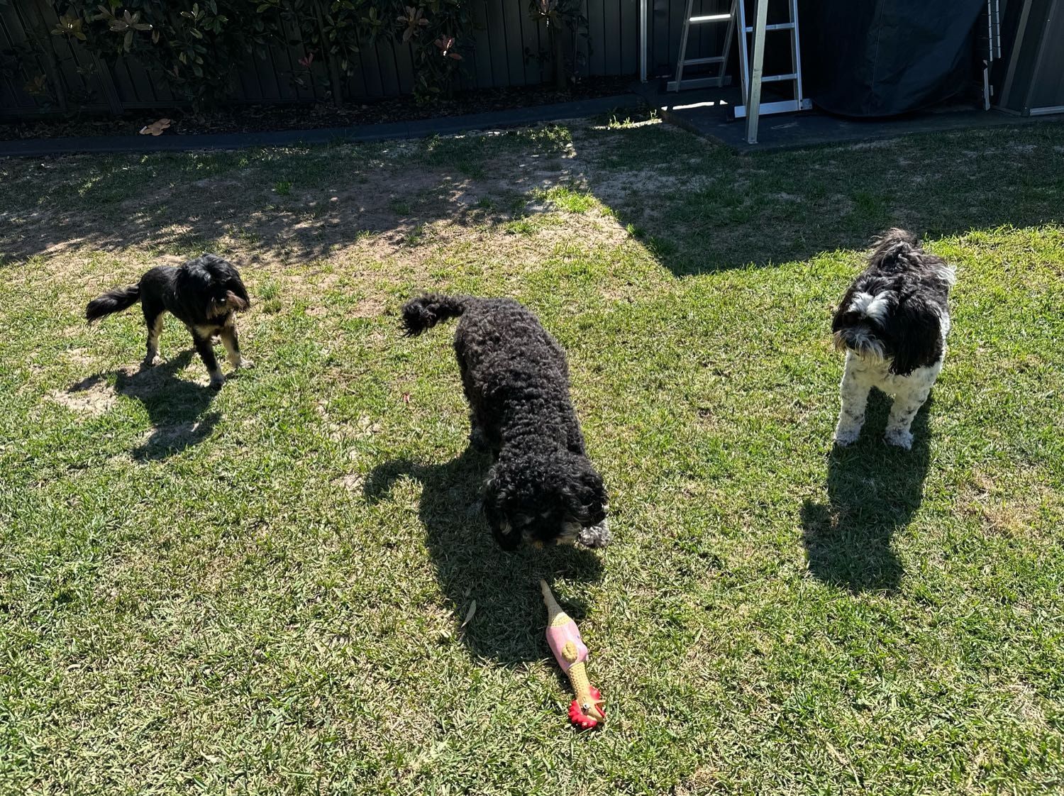 image-18