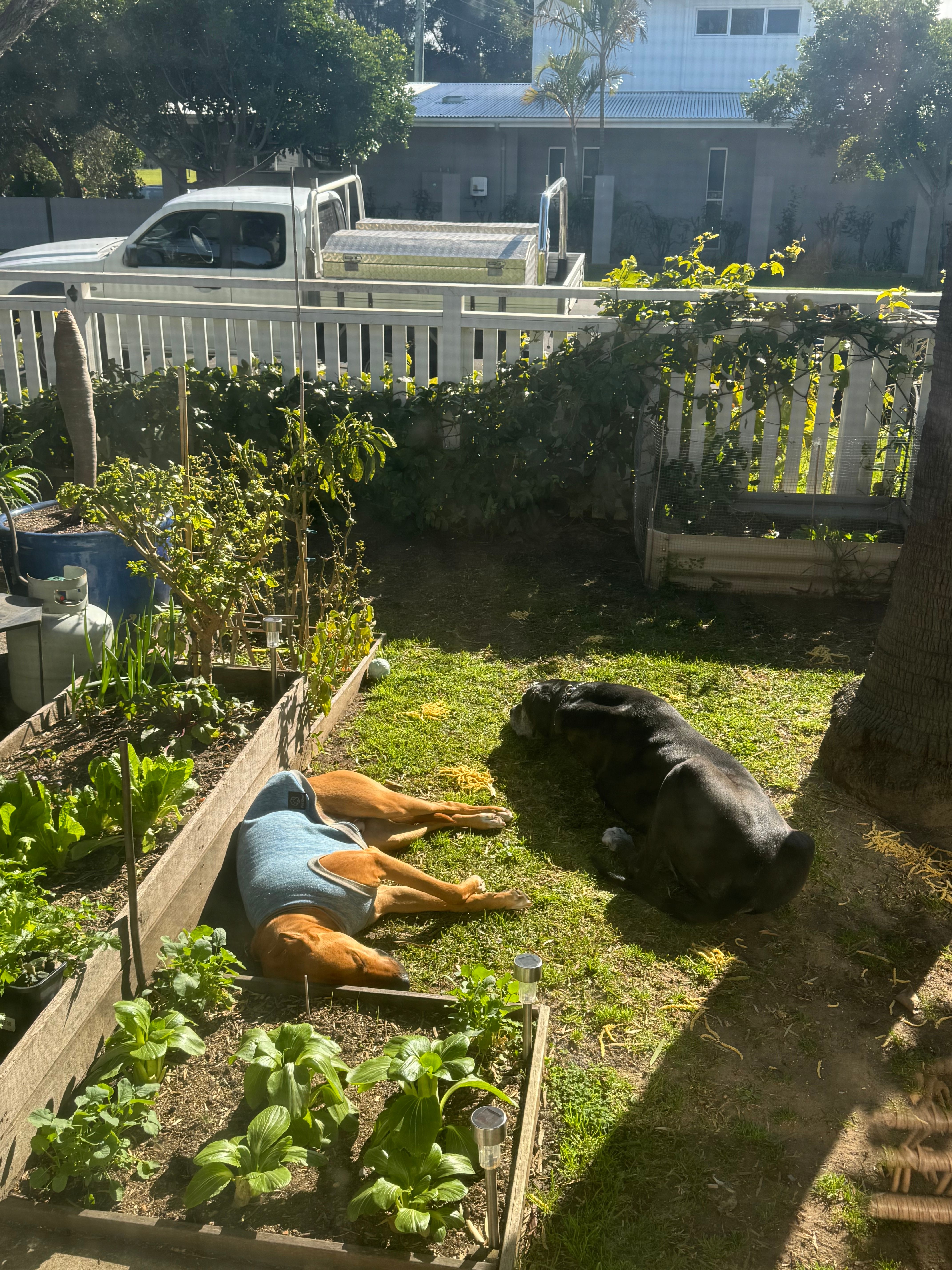image-16