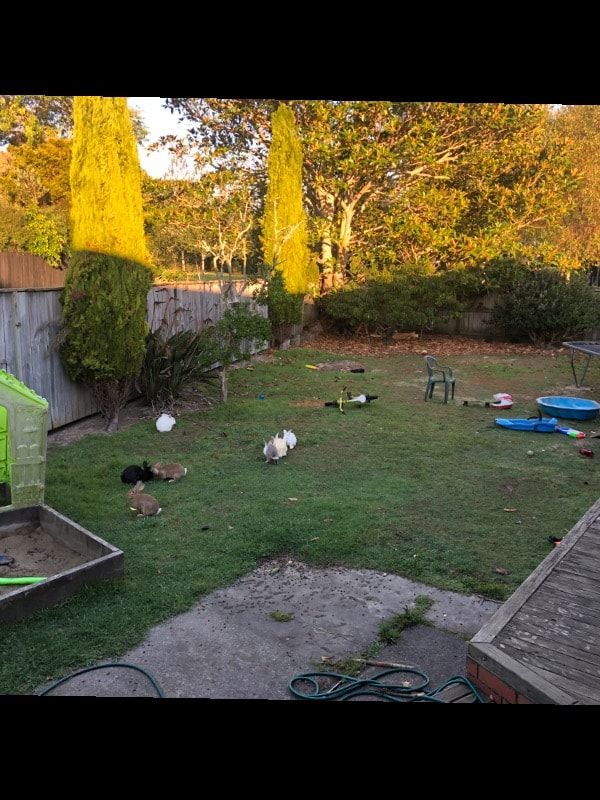 image-3