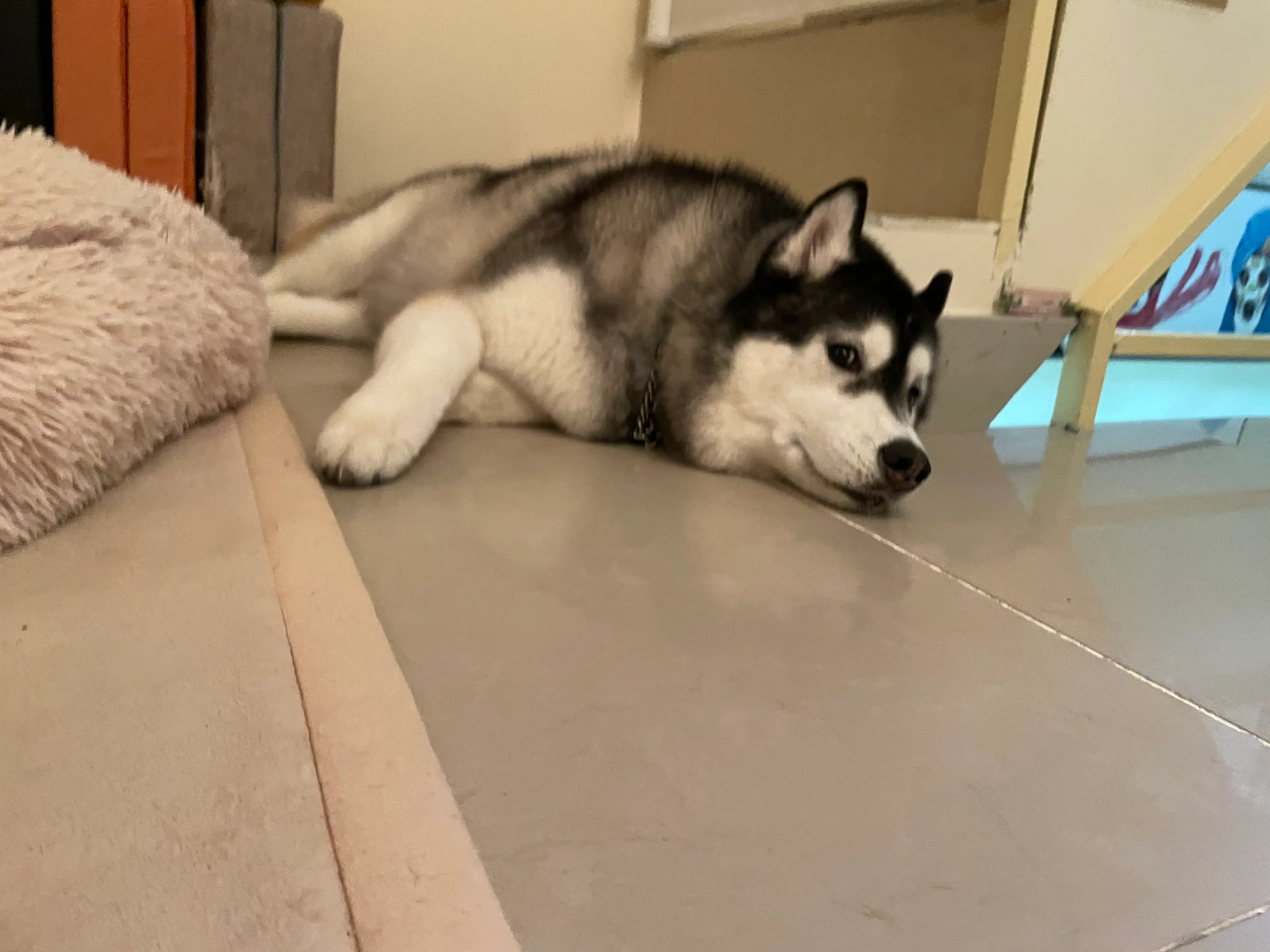 image-18