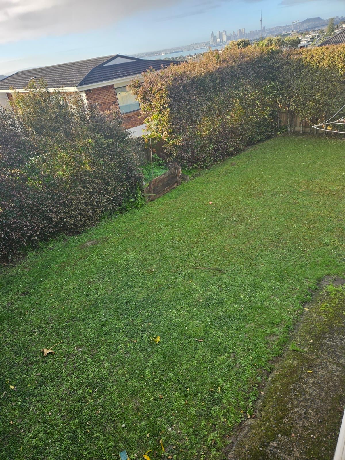 image-19
