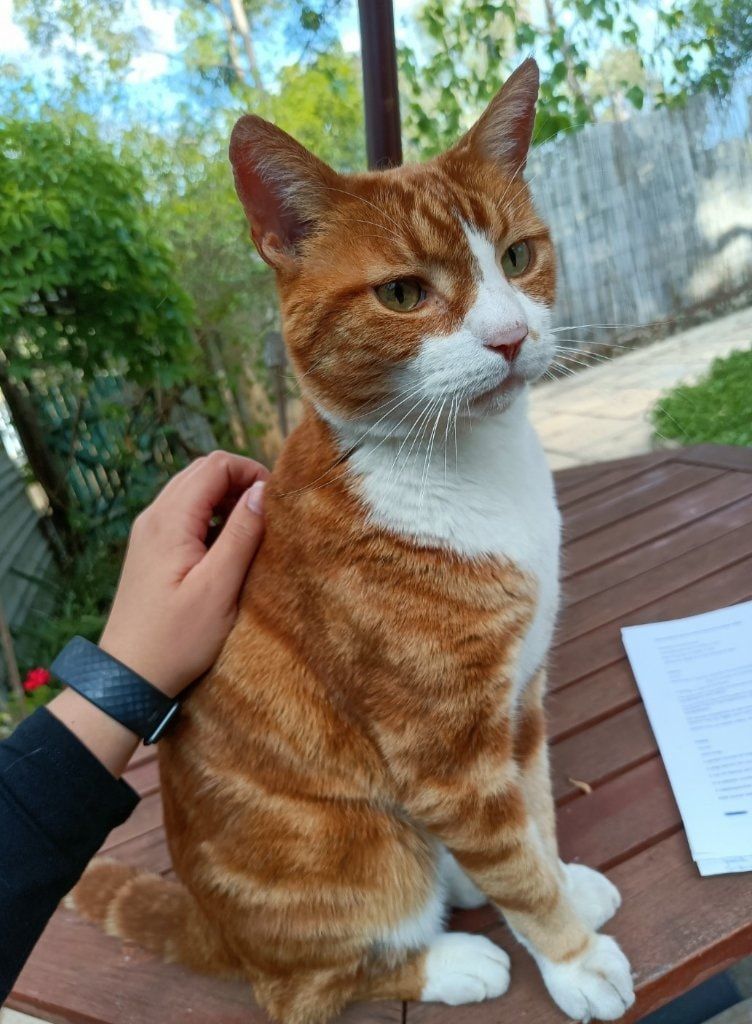 image-11