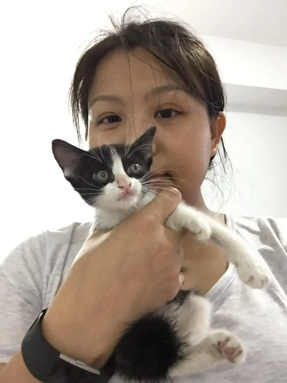 image-6