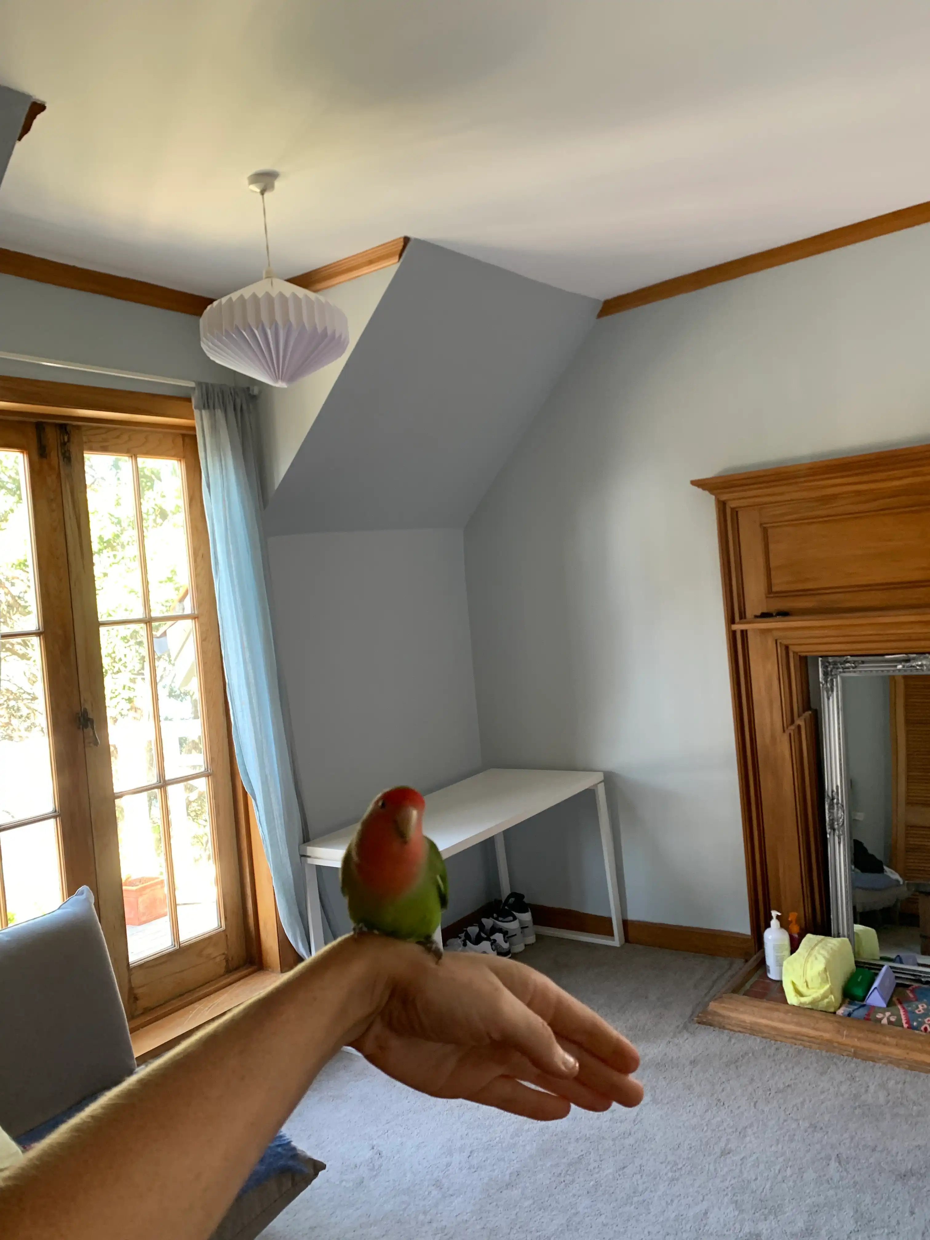 image-14
