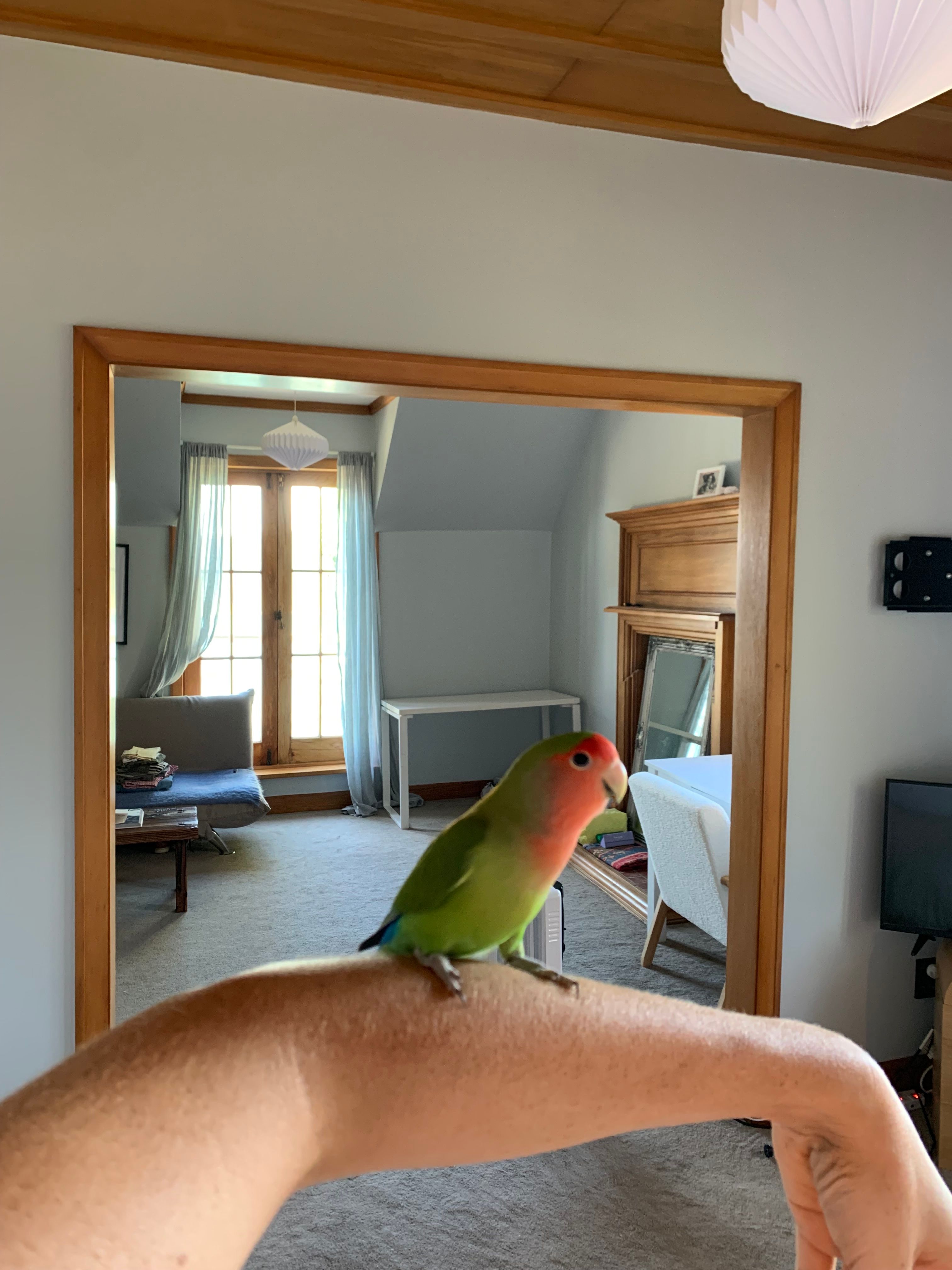 image-13