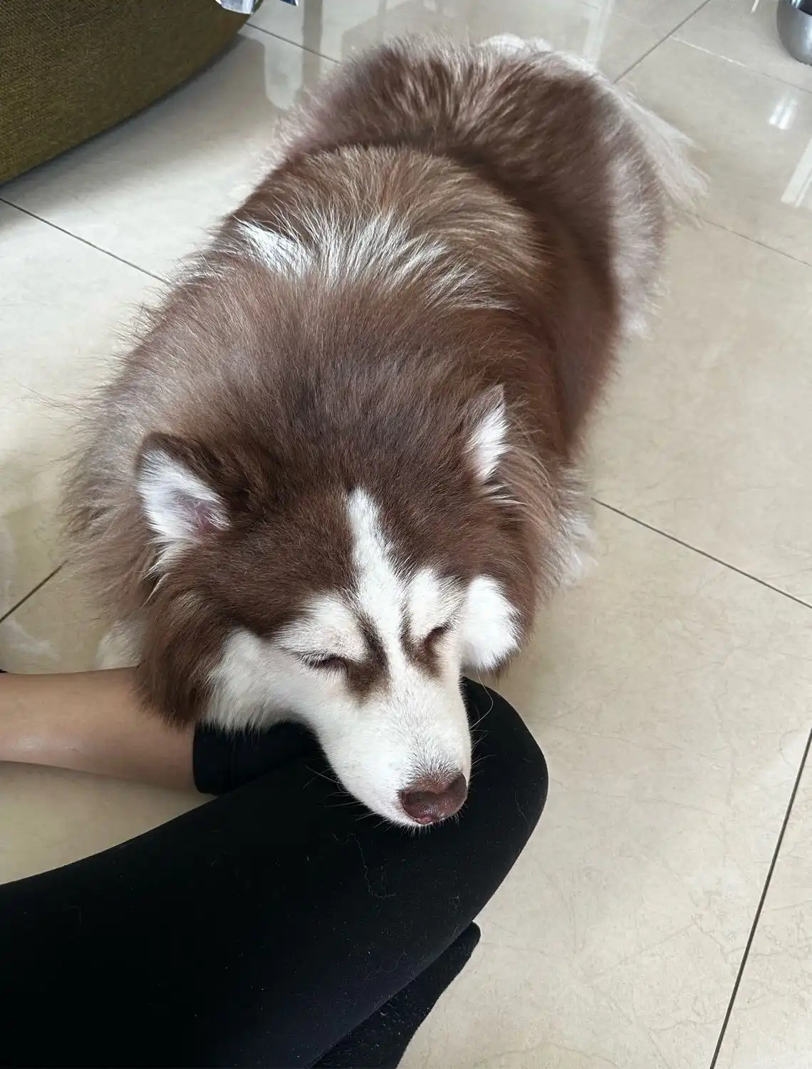 image-9