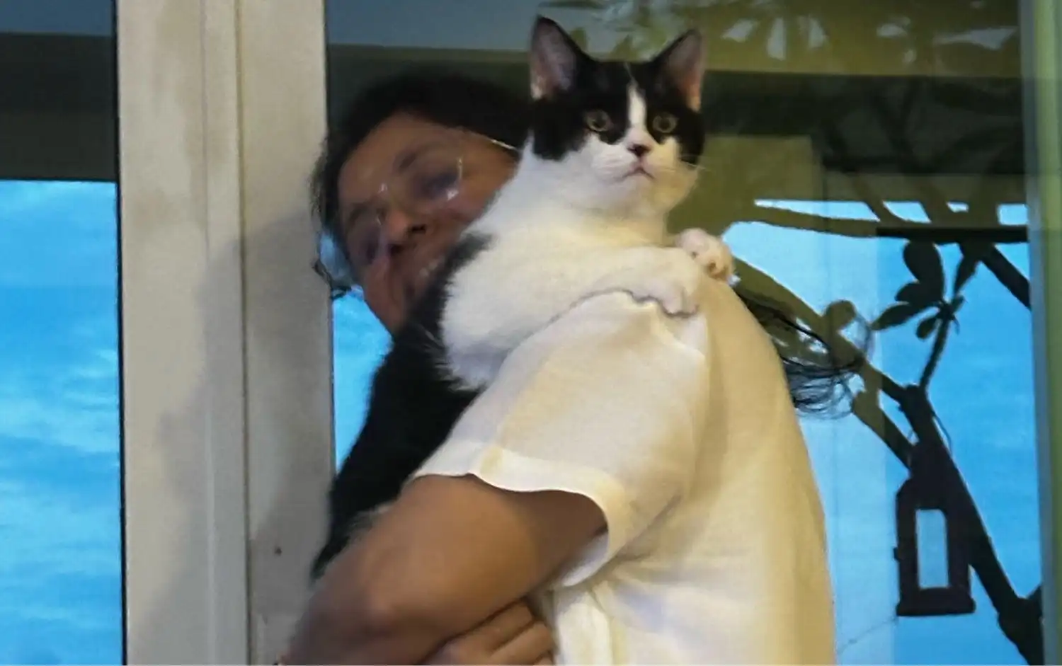 image-7