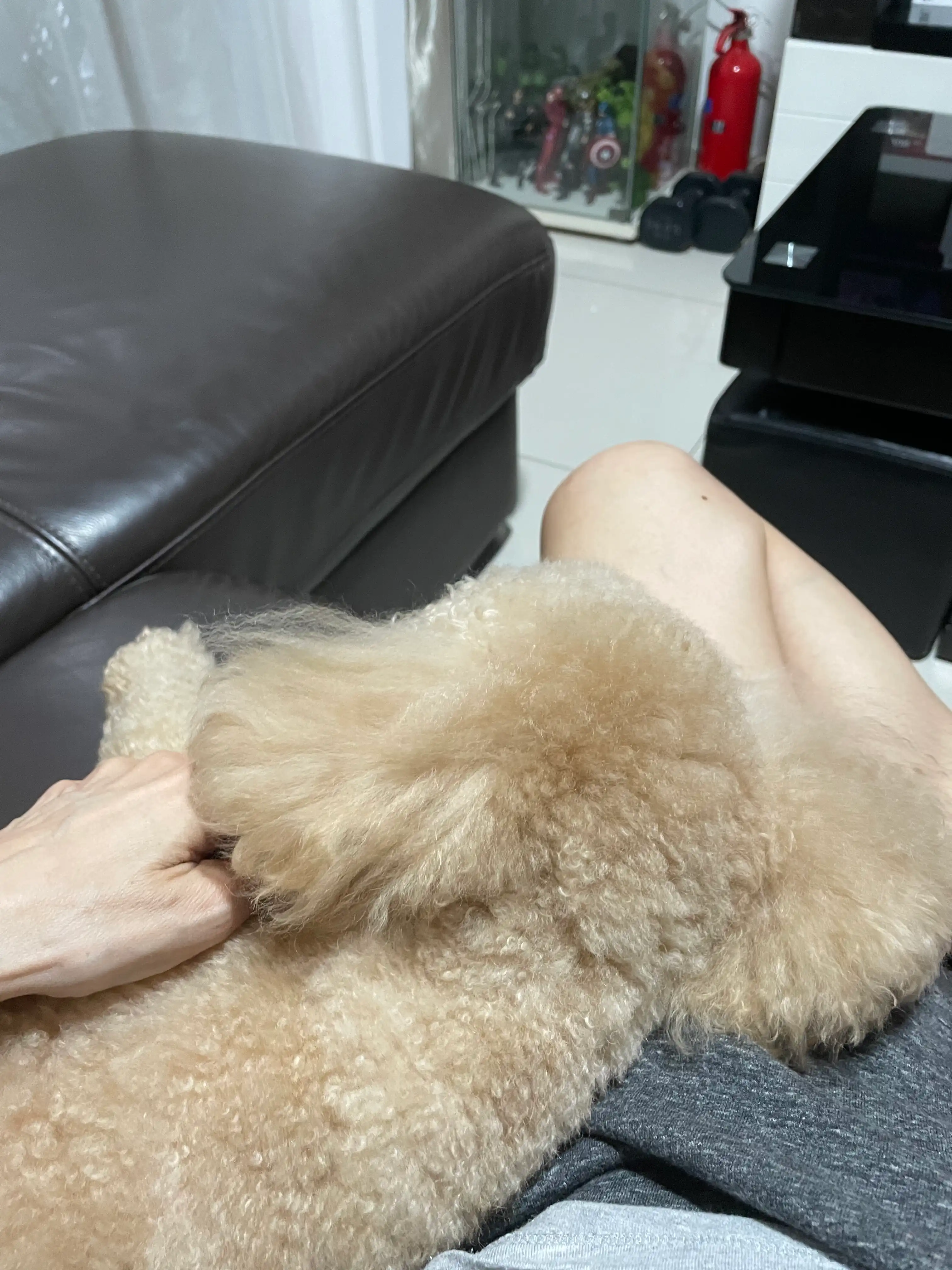 image-34