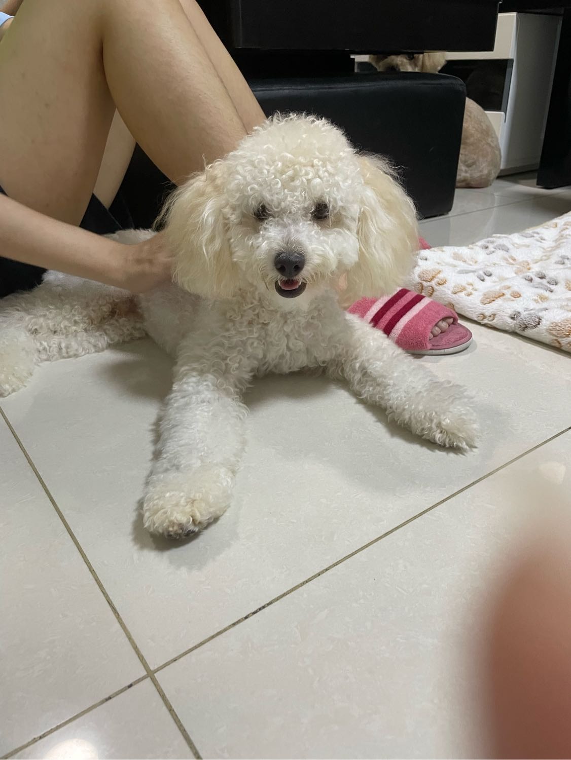image-10