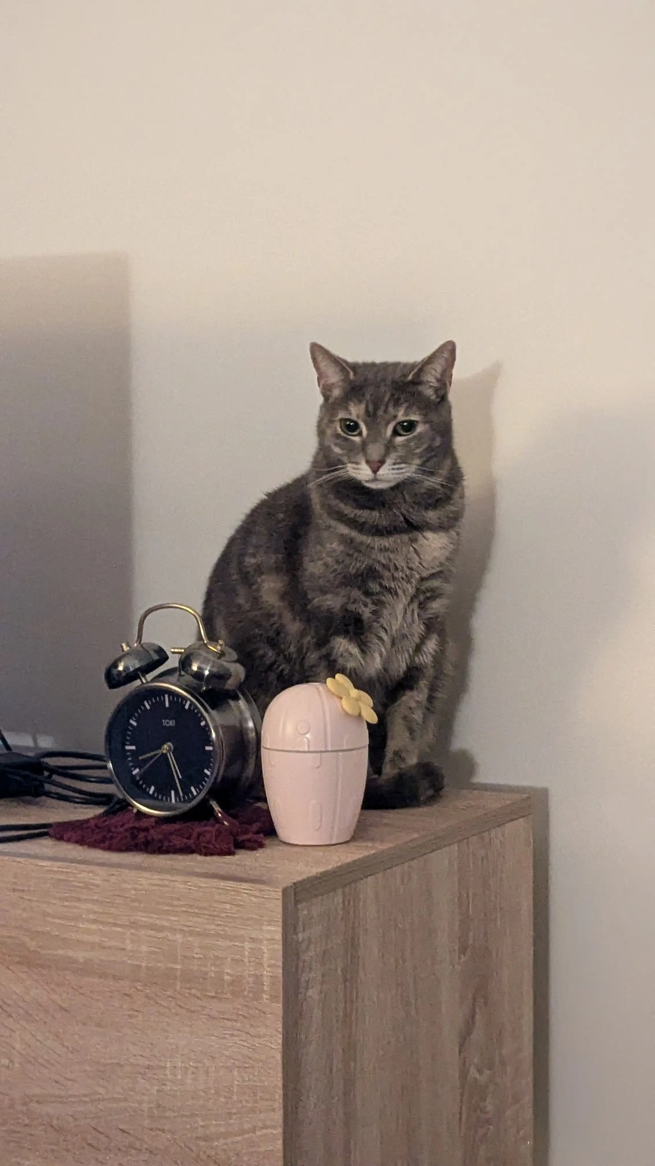 image-6