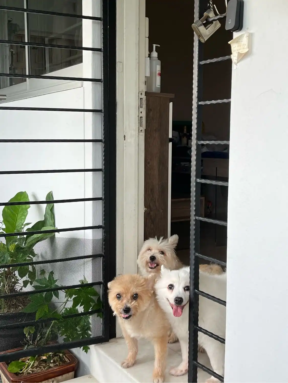 image-8