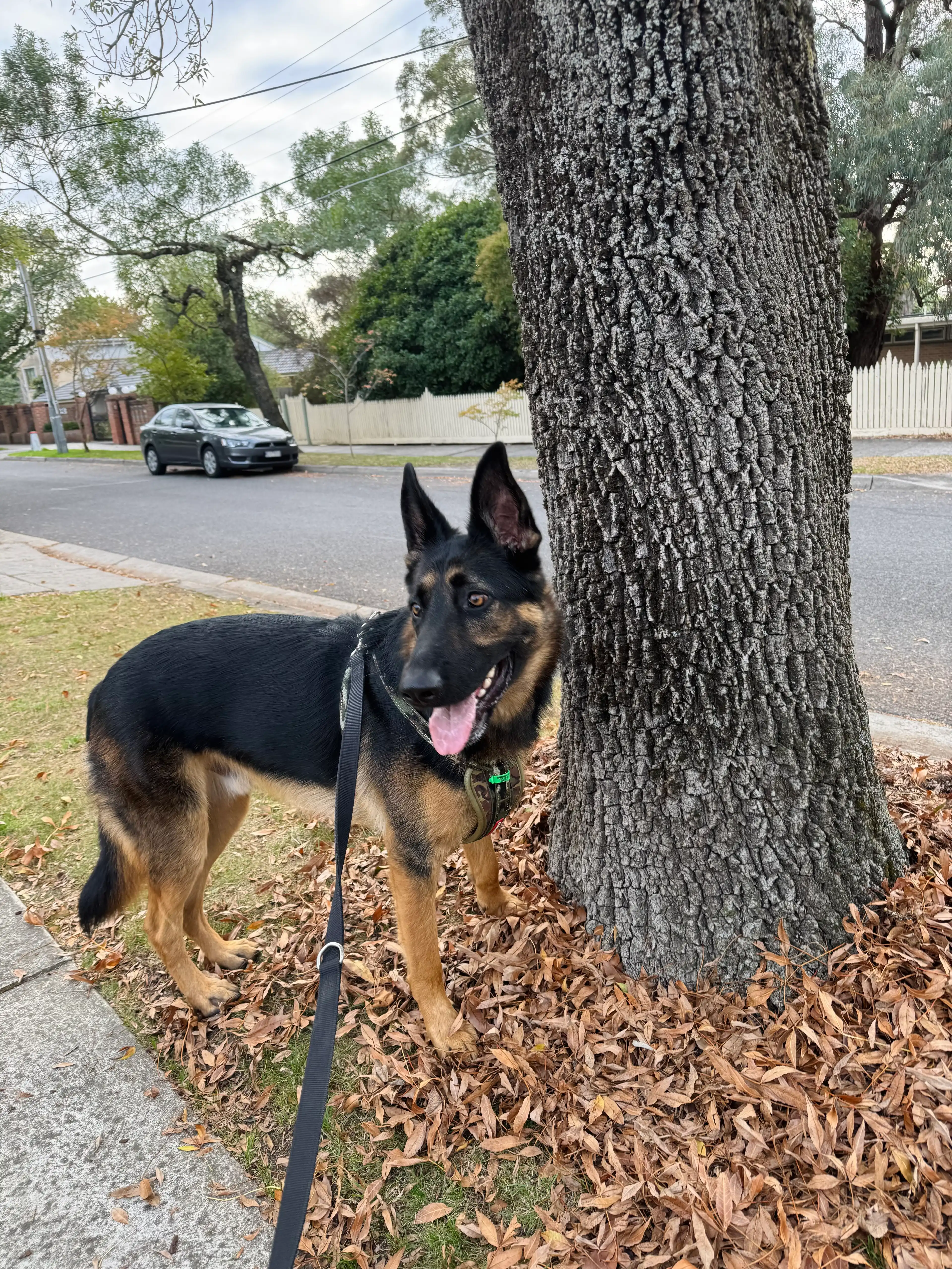 image-15