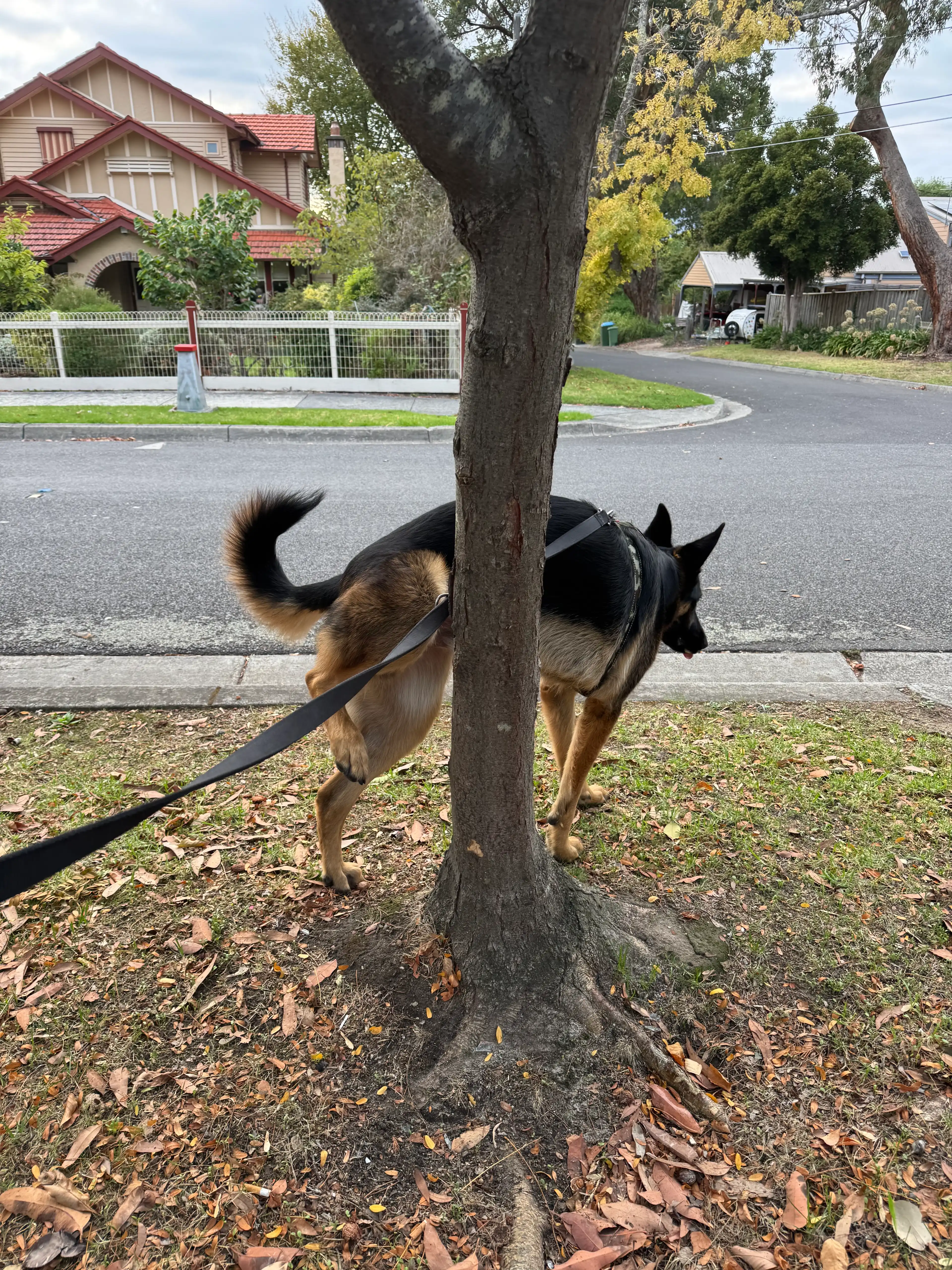 image-16