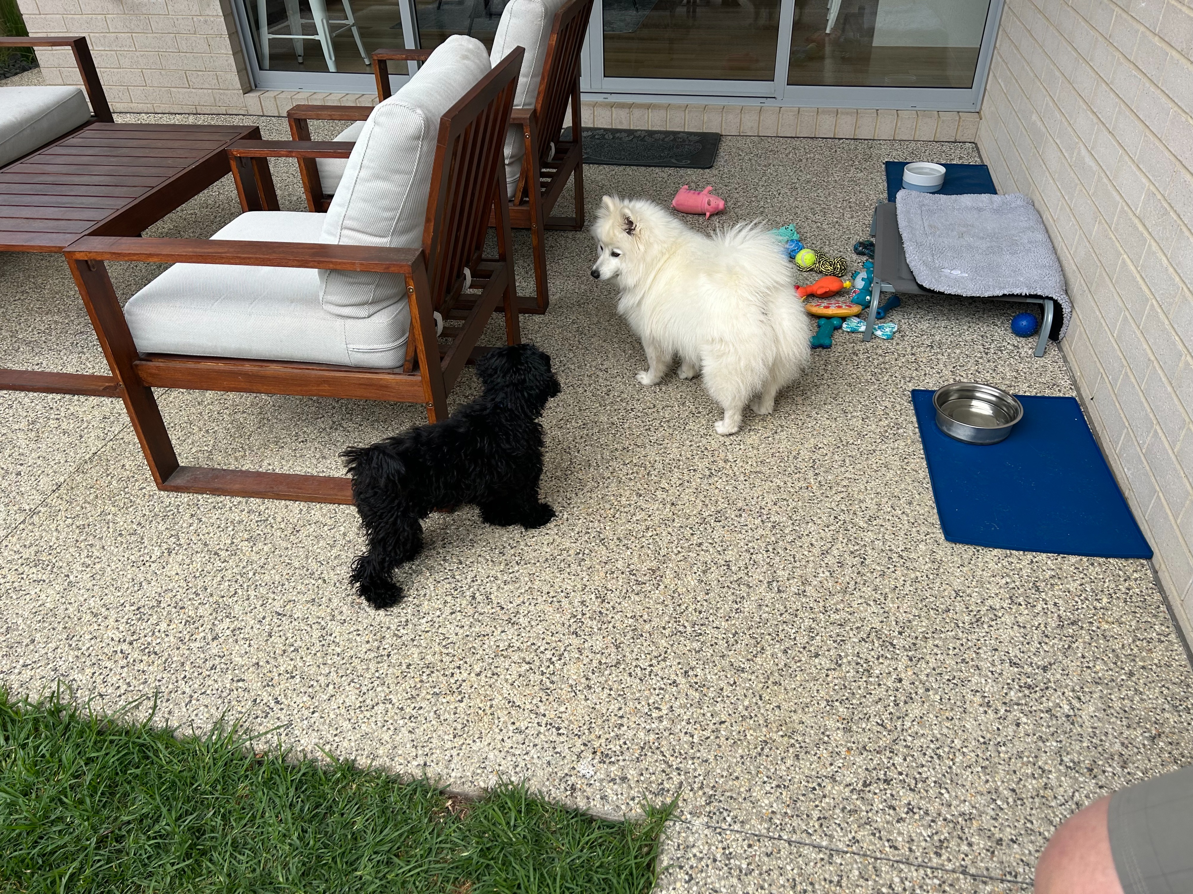 image-27
