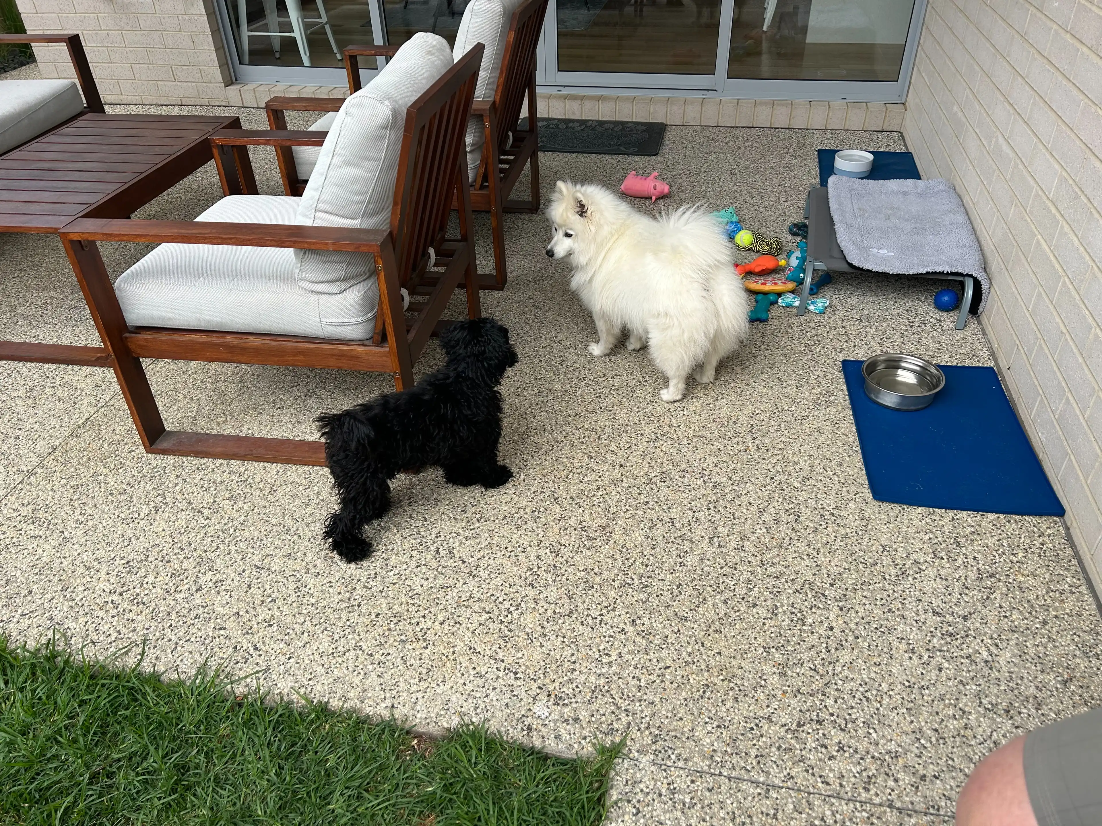 image-27