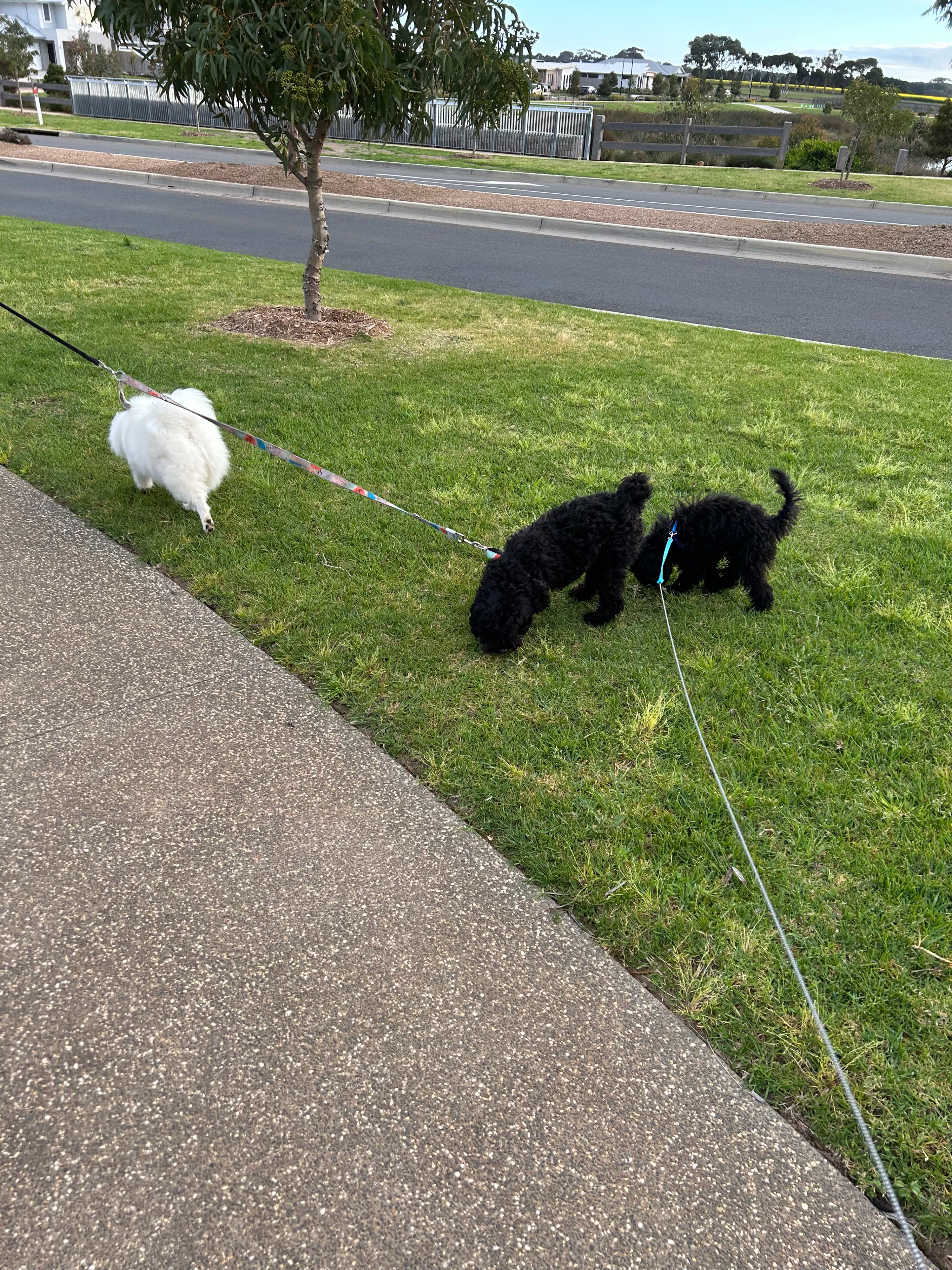 image-18